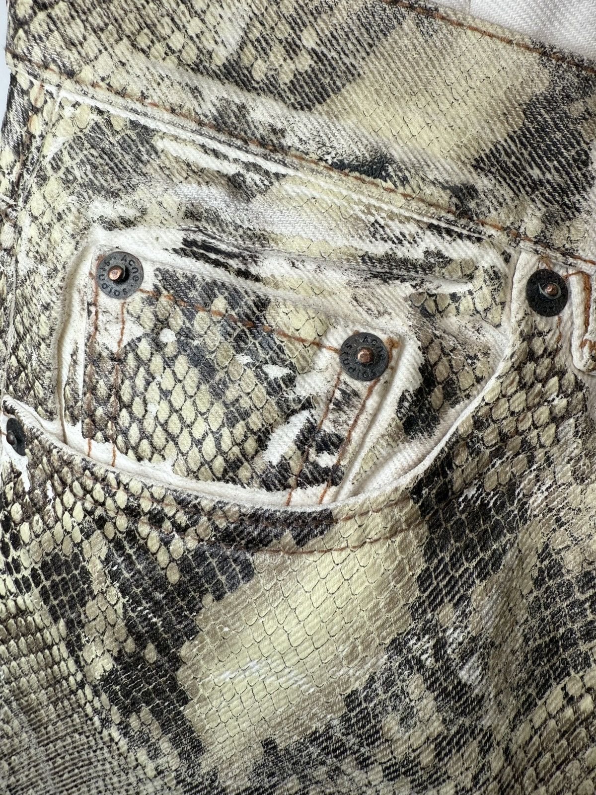 Acne Studios Acne Studios Snakeskin Print Leather Pants Size 25" / US 0 / IT 36 - 3 Thumbnail