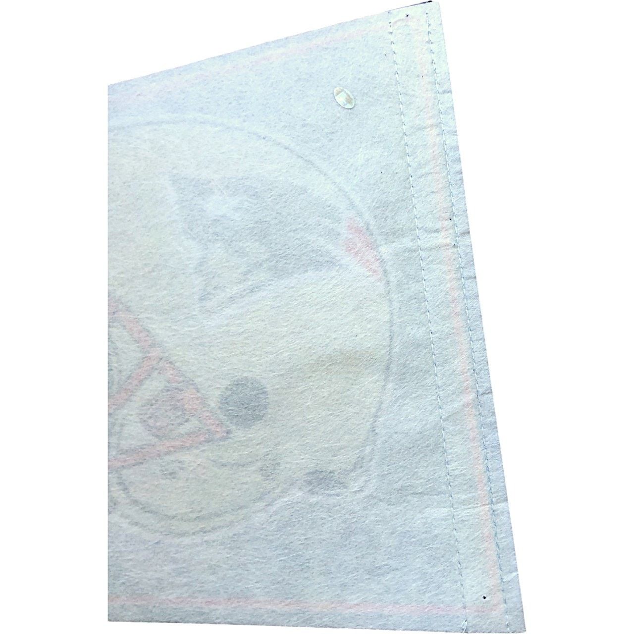 NFL New England Patriots 2004 Super Bowl XXXVIII Pennant Size ONE SIZE - 6 Thumbnail