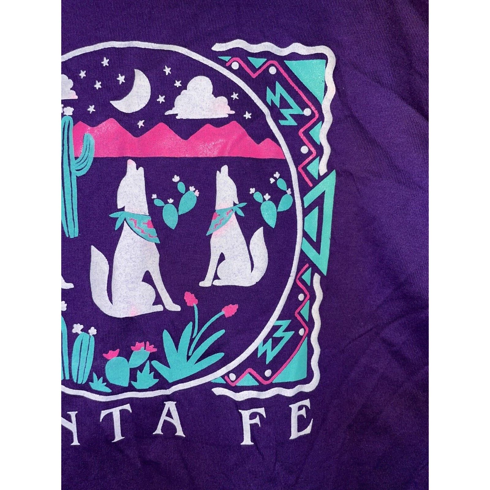Jerzees Vintage Test Print Shirt Virginia Santa Fe Tee VTG 90s M Size US M / EU 48-50 / 2 - 11 Thumbnail