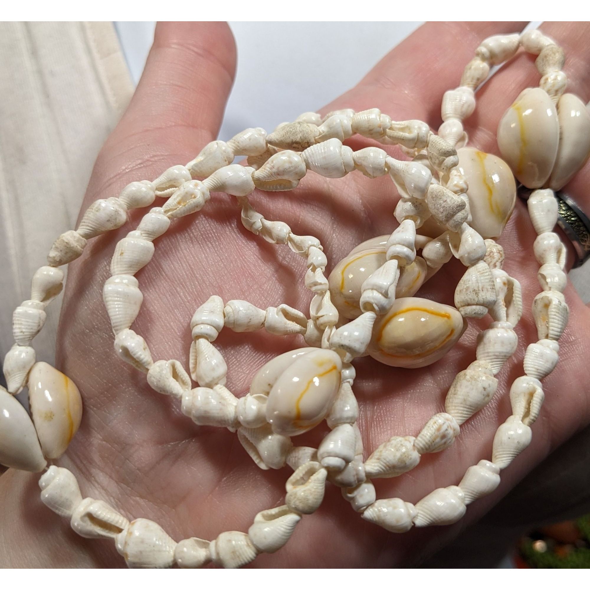 Other Vintage Beachy Cowrie Mixed Shell Necklace Size ONE SIZE - 3 Thumbnail