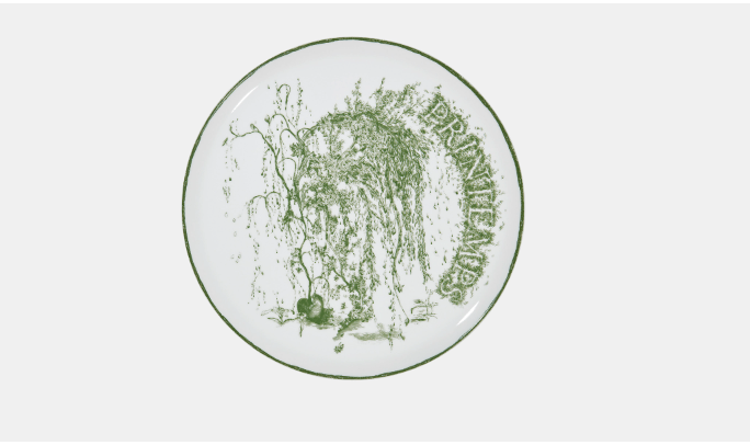 o1bcso1str0324 4 Set Dinner Plates in Multicolor