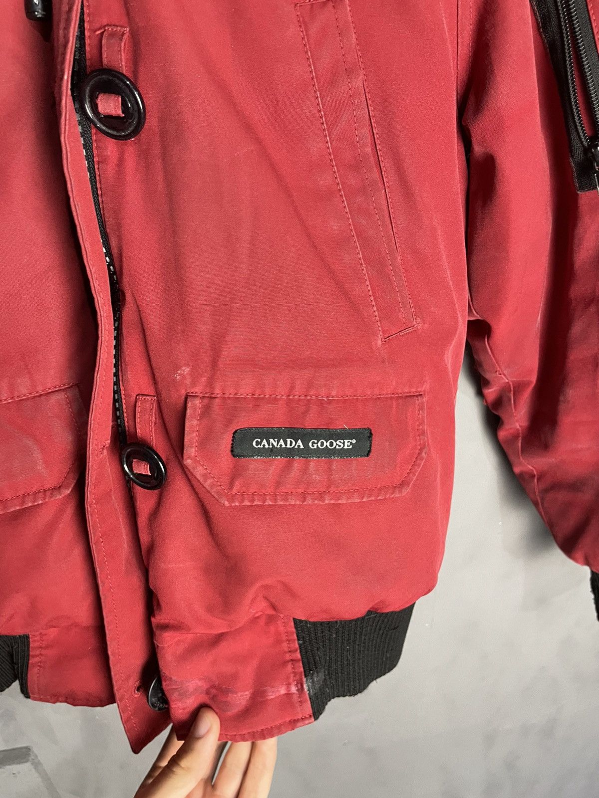 Canada Goose Canada Goose Chilliwack Bomber Fur Jacket Size US S / EU 44-46 / 1 - 3 Thumbnail