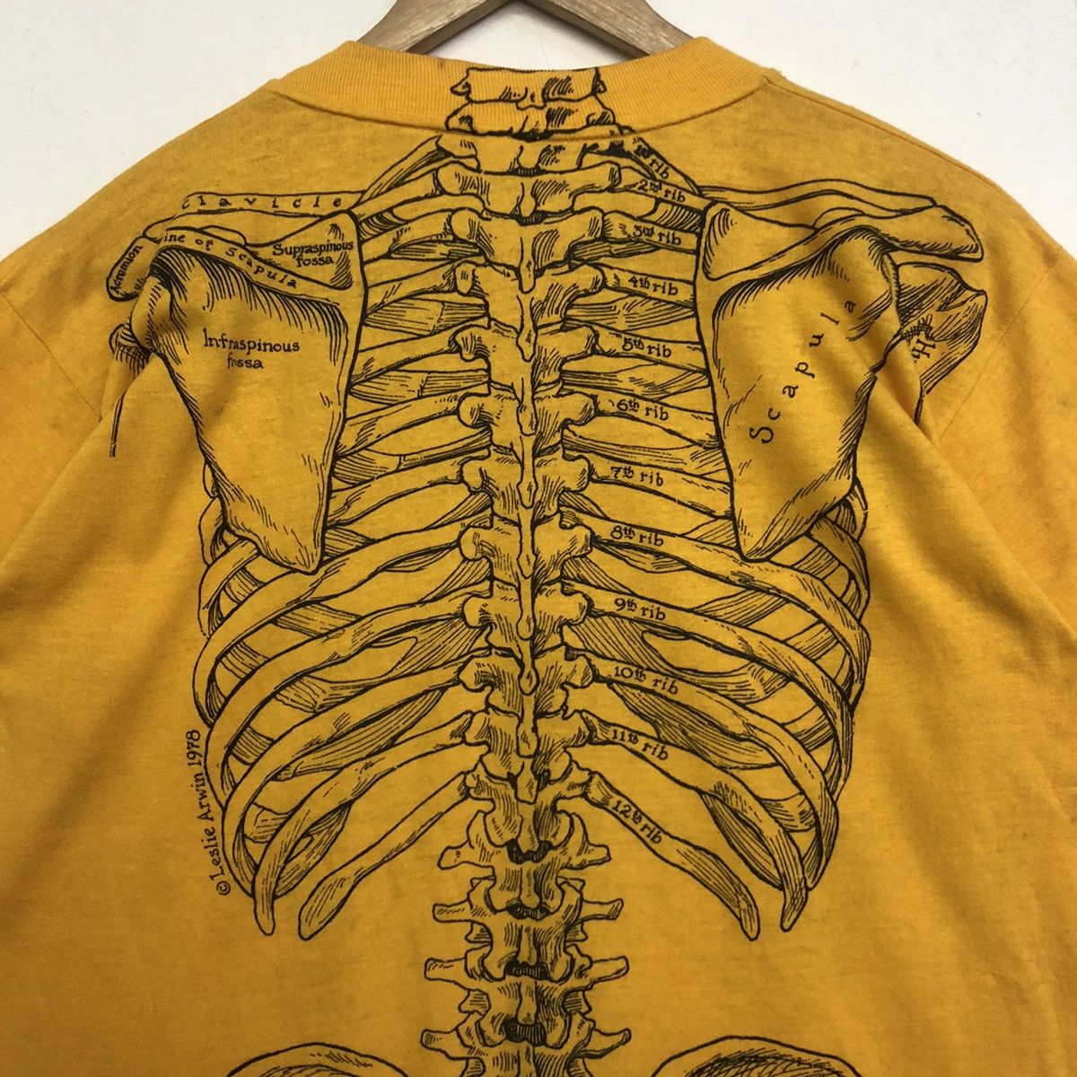 Art Comes First VINTAGE ART LESLIE ARWIN 1978 ANATOMY SKULL BONES TSHIRT Size US L / EU 52-54 / 3 - 10 Thumbnail