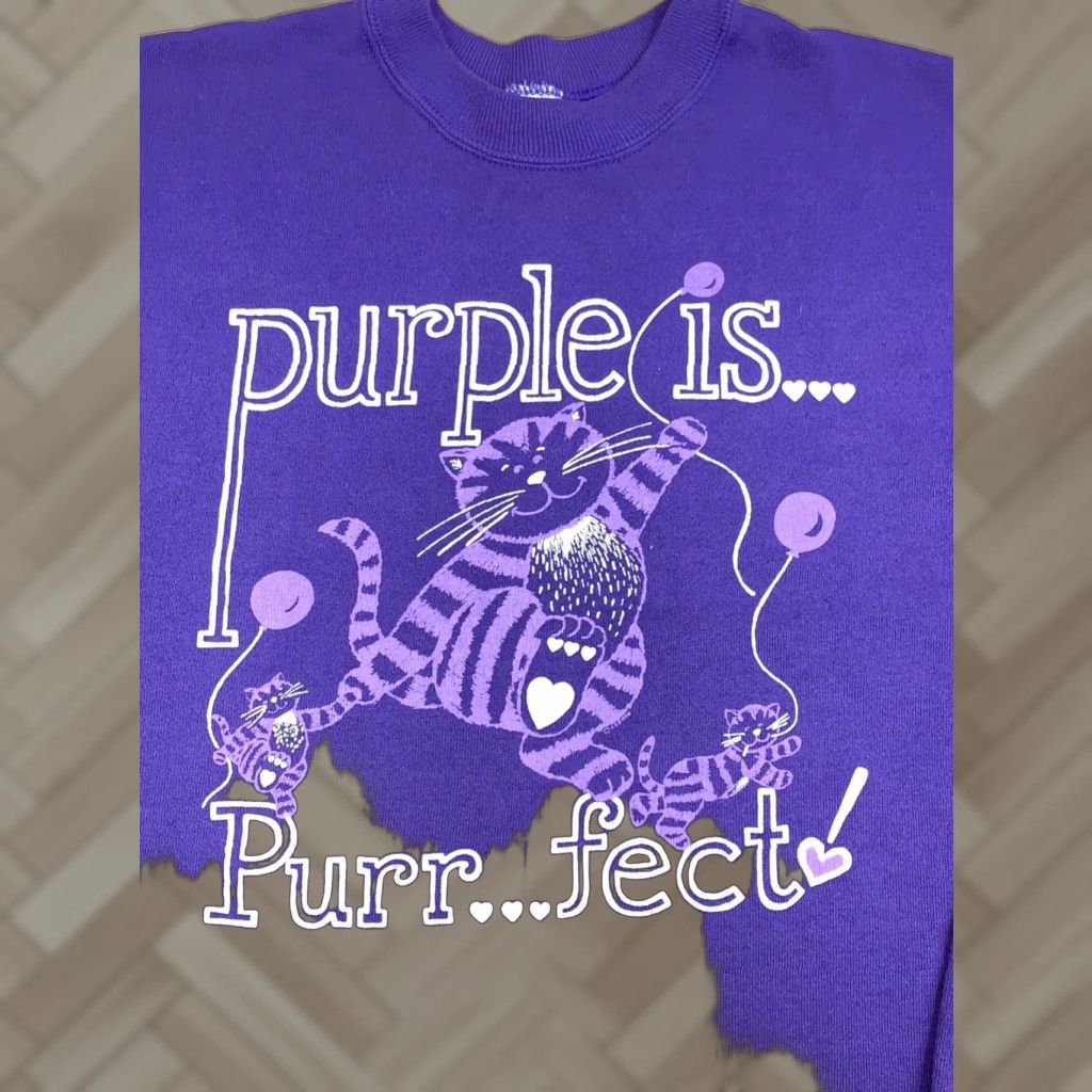 Hanes VINTAGE Hanes Cat Sweatshirt Womens XL Purple 90s Pullover Cropped 12544 Size XL / US 12-14 / IT 48-50 - 1 Thumbnail