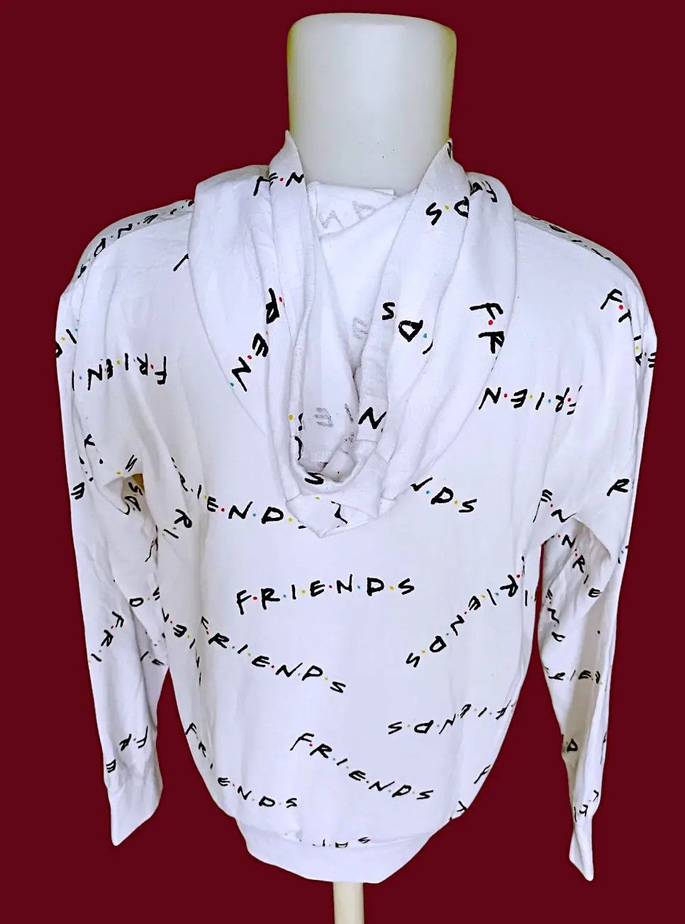 Other The Famous FRIENDS The Television Series White Hoodie Size US L / EU 52-54 / 3 - 21 Thumbnail