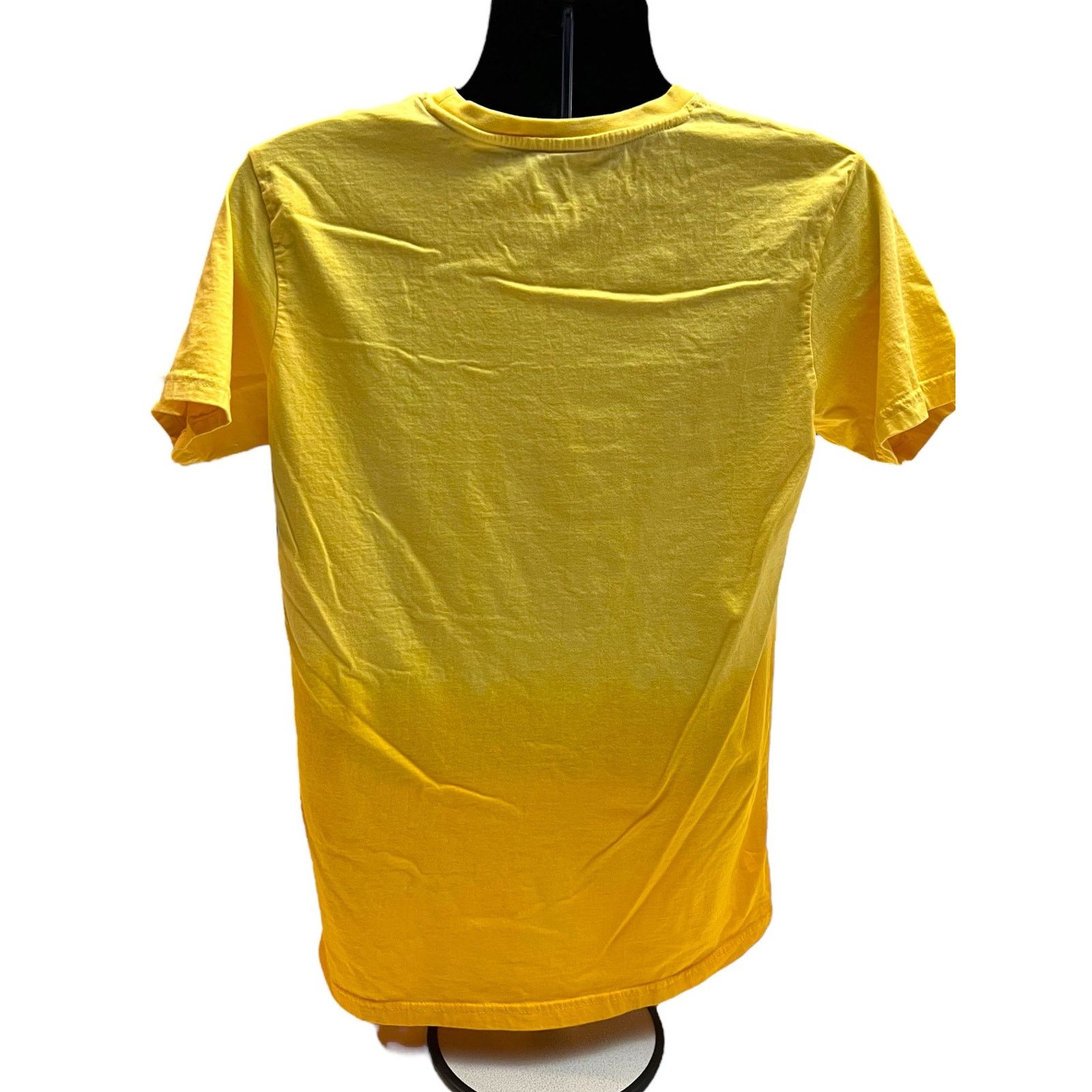 Other Swaminarayan Akshardham Temple Shirt Size US XXL / EU 58 / 5 - 3 Thumbnail
