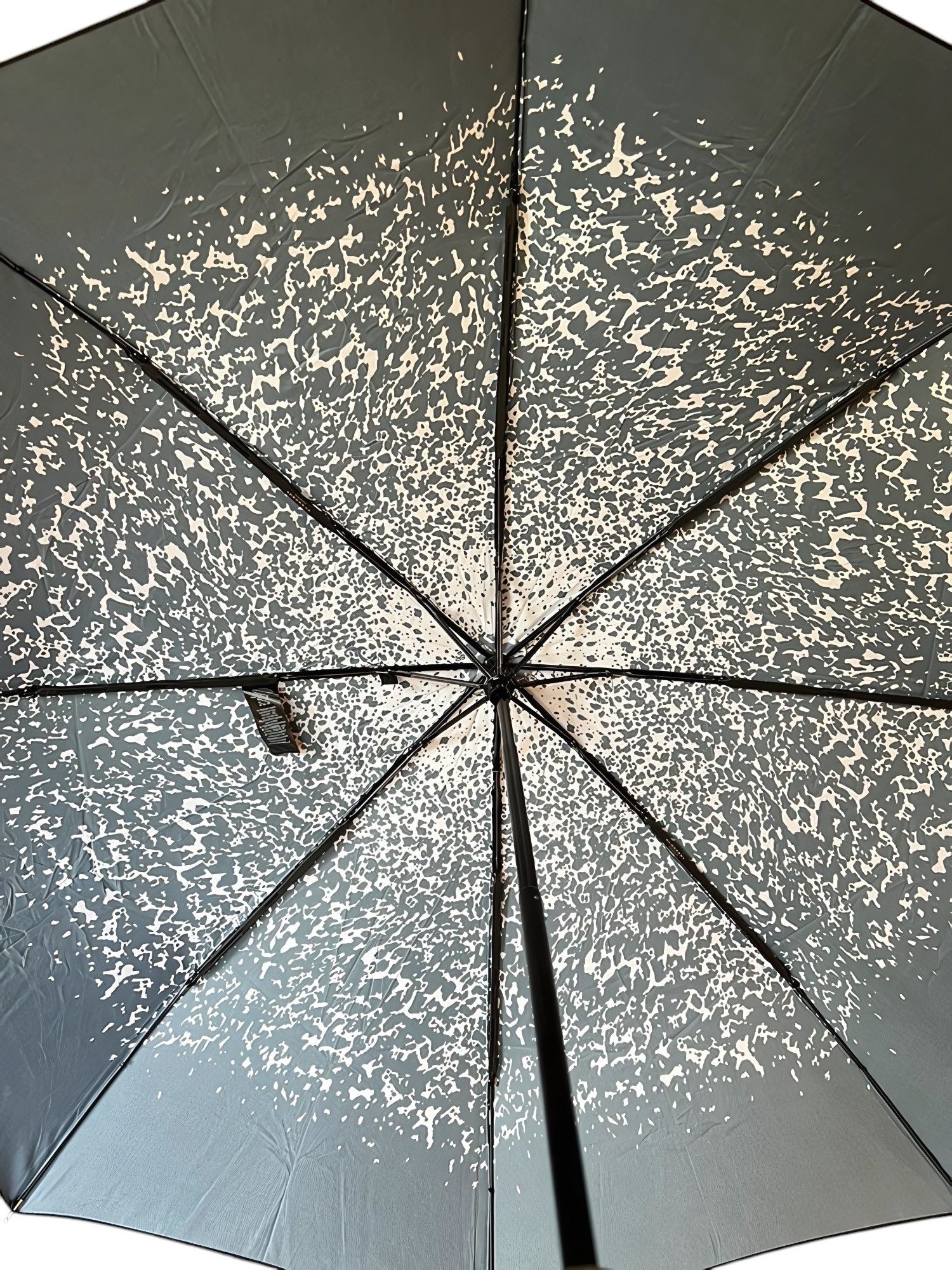 Burberry × Burberry Prorsum BURBERRY PRORSUM PRINTED UMBRELLA Size ONE SIZE - 8 Thumbnail