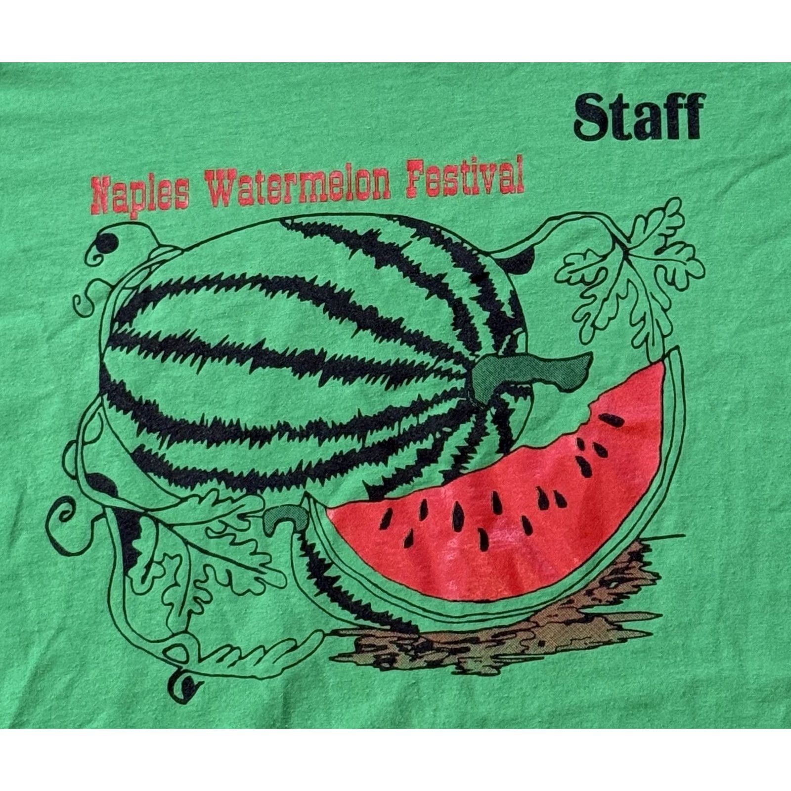 Jerzees VINTAGE 90s Naples Watermelon Festival Staff T-Shirt XL Texas Cowboy Western Shirt Mens Graphic Print Crew Neck Green Cotton Polyester Jam Jerzees Size US XL / EU 56 / 4 - 3 Thumbnail
