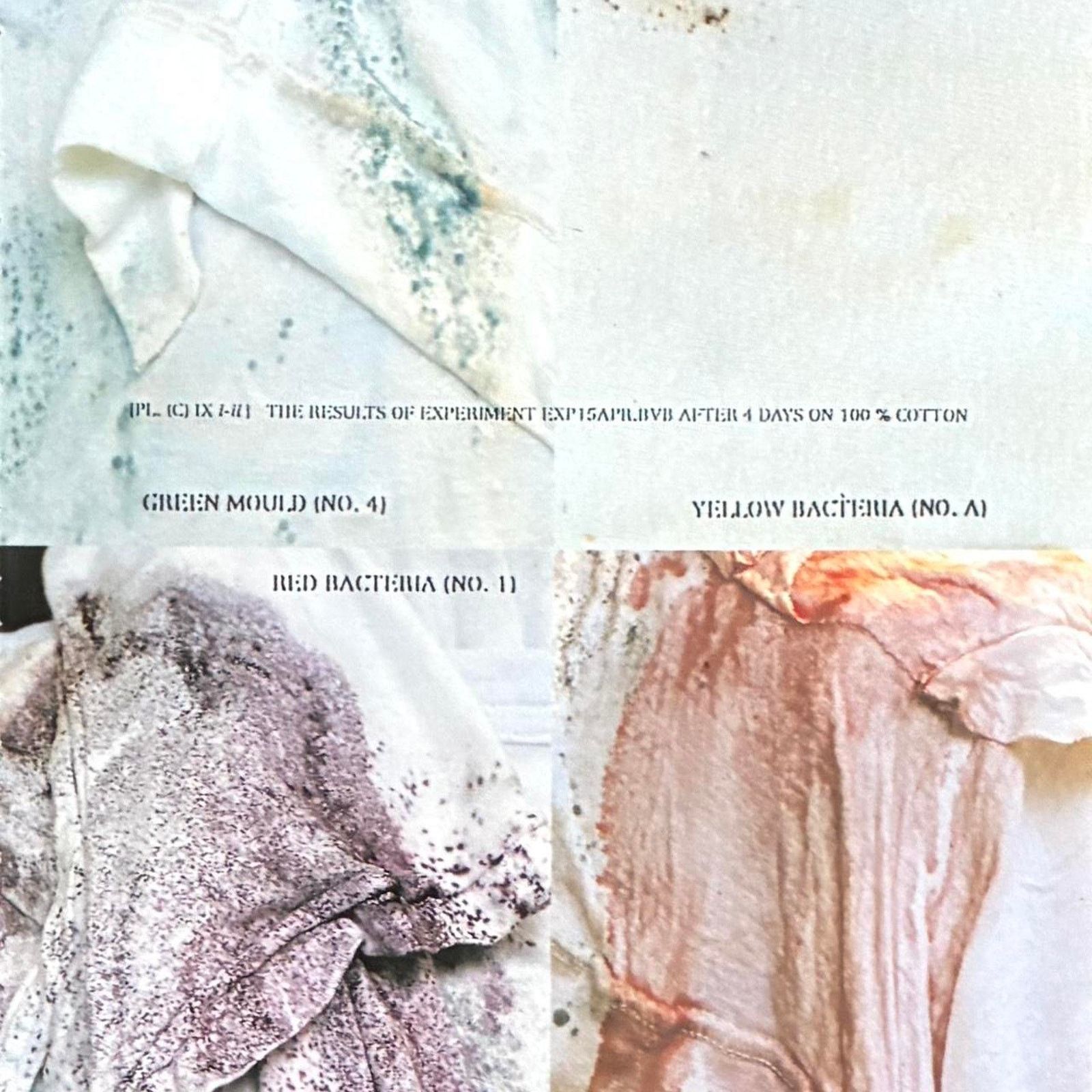 Designer × Maison Margiela × Vintage Maison Martin Margiela Archive vintage framed print 9x11 Size ONE SIZE - 2 Thumbnail