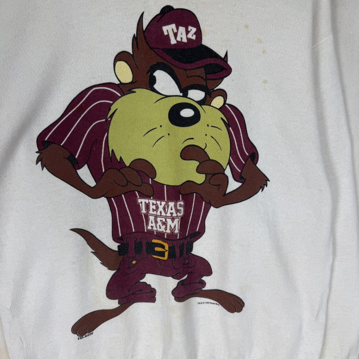 Warner Bros ☀️LOONEY TUNES TAZ TEXAS 1994 SWEATSHIRT Size US L / EU 52-54 / 3 - 7 Thumbnail