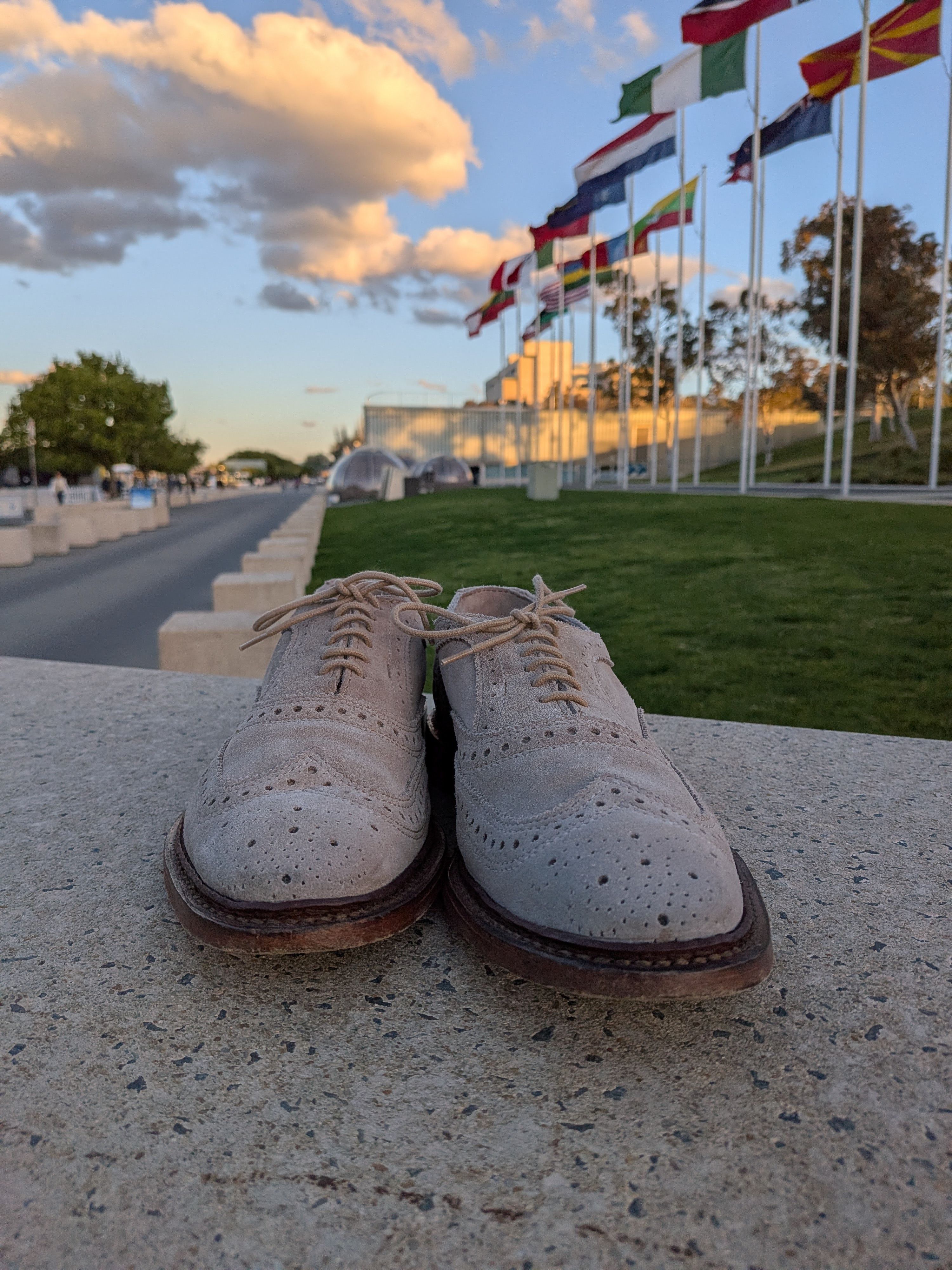 Allen Edmonds Neumok Suede Wingtip Oxford. Camel