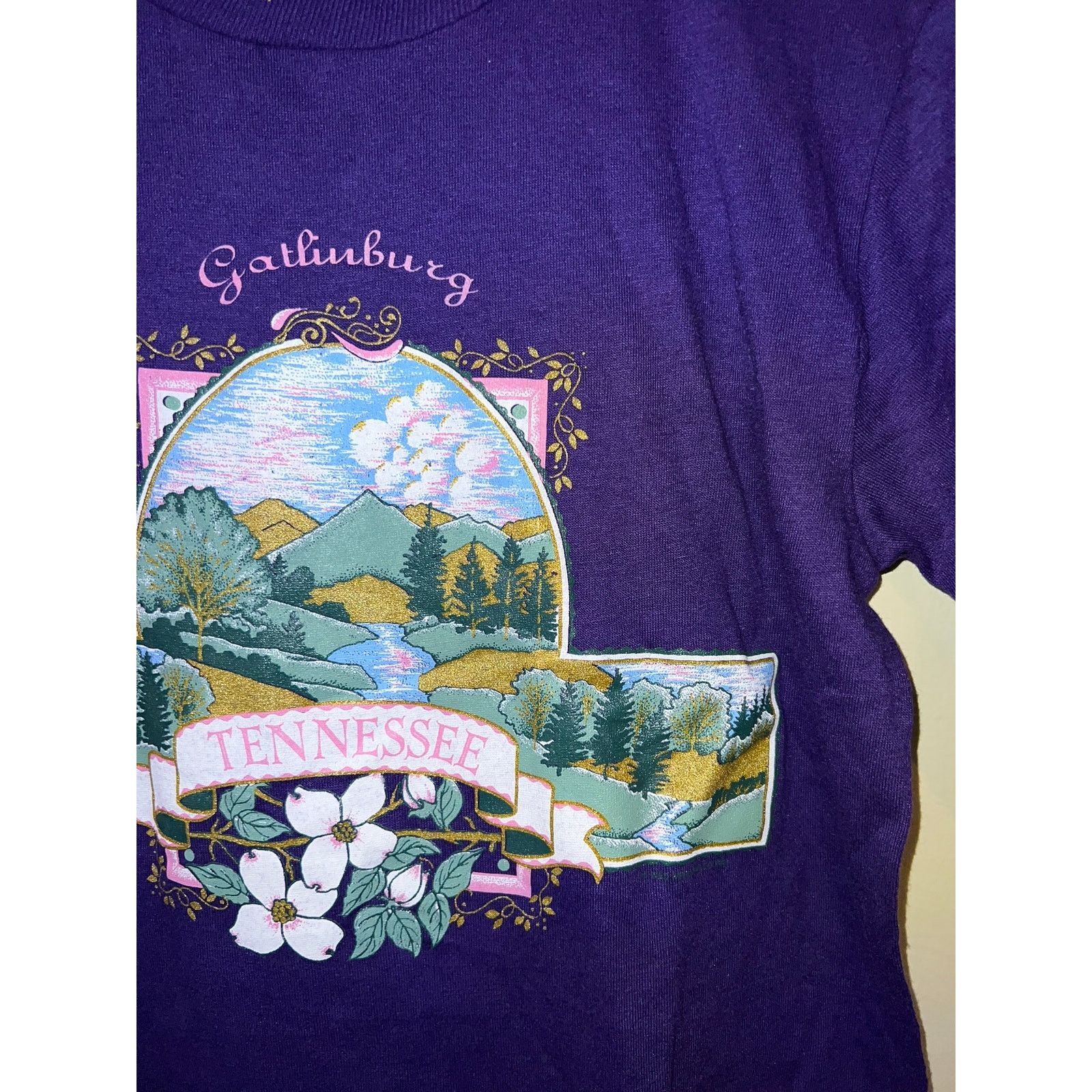 Jerzees Vintage Tennessee Shirt Gatlinburg Purple Graphic Tee 90s S Size US S / EU 44-46 / 1 - 4 Thumbnail