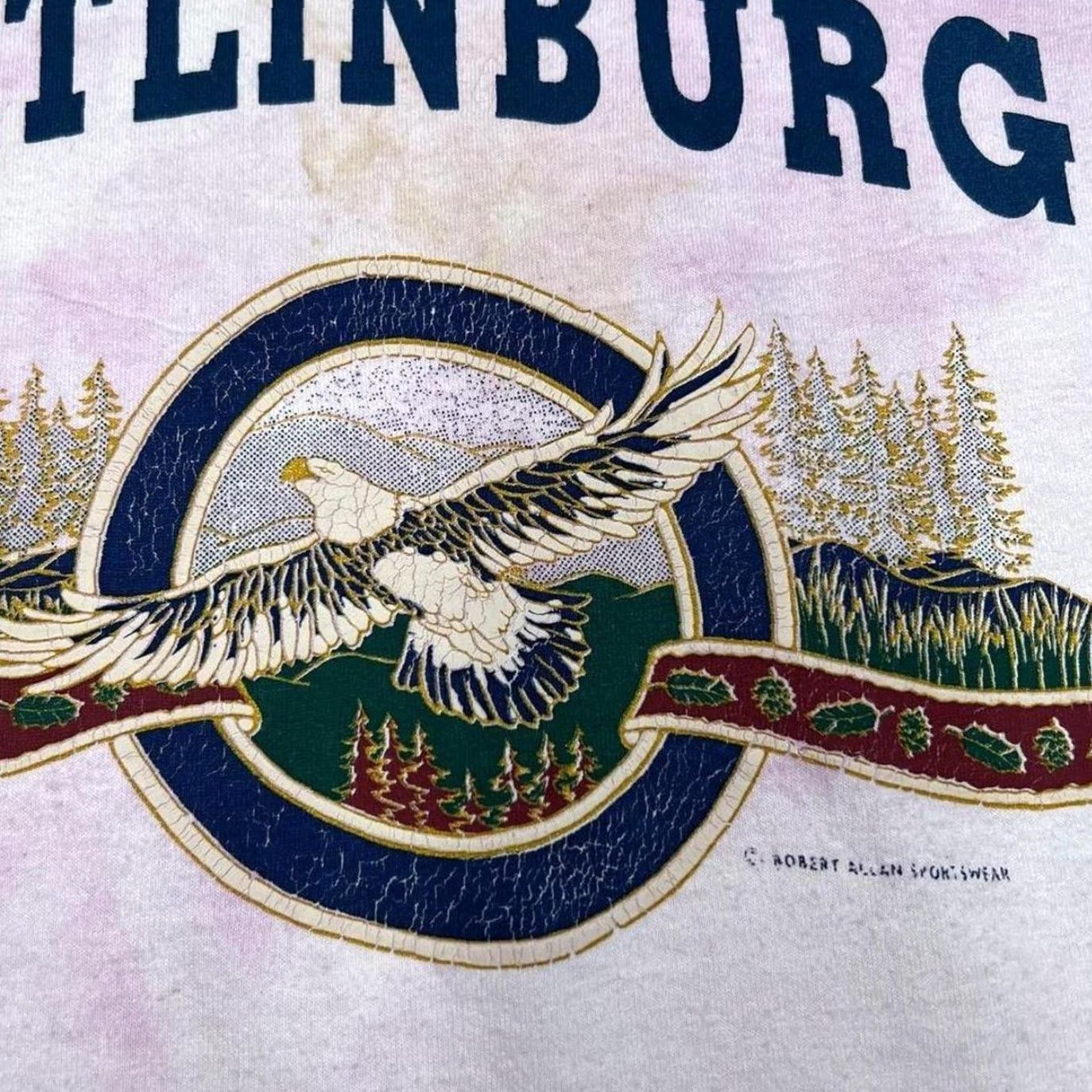 Other VINTAGE 90s Gatlinburg Souvenir Graphic Tie Dye Single Stitch T-Shirt Large Mens Pink White Tie Dye Graphic Spellout Front 90s Mens Shirt XY38 Size US L / EU 52-54 / 3 - 4 Thumbnail