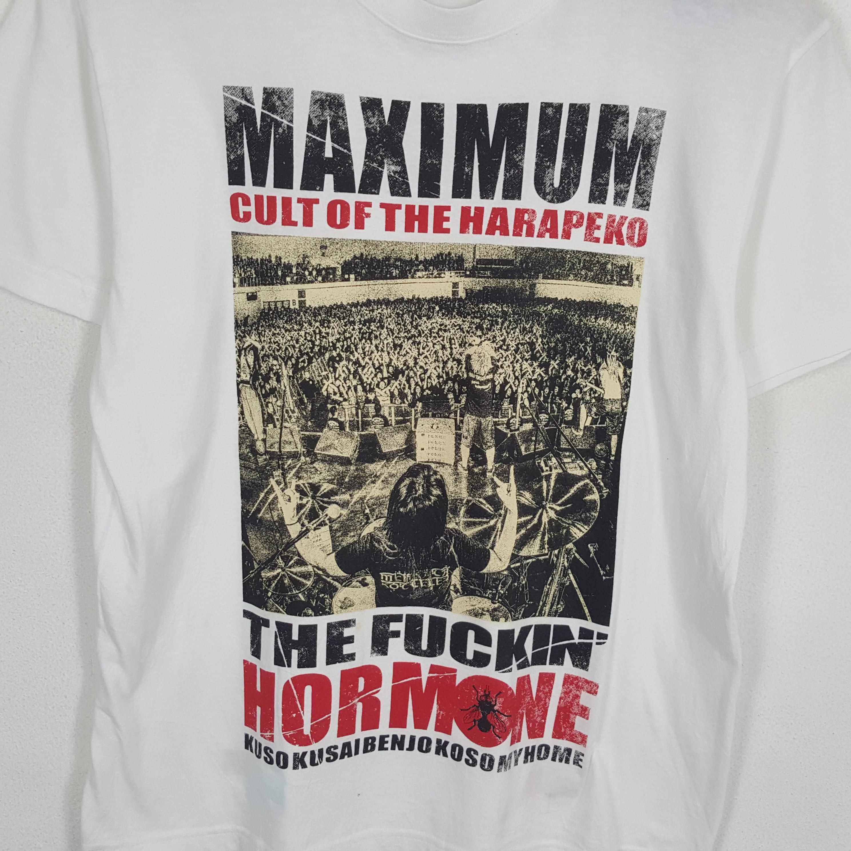 Band Tees × Vintage MAXIMUM THE HORMONE Japanese Rock Band Music Tshirt Size US L / EU 52-54 / 3 - 2 Thumbnail