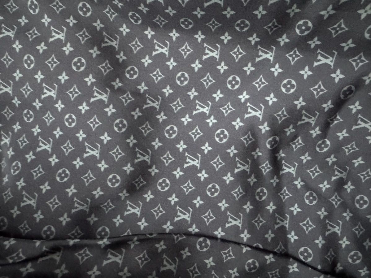 Louis Vuitton Louis Vuitton Defilé jacket Size US XL / EU 56 / 4 - 5 Thumbnail