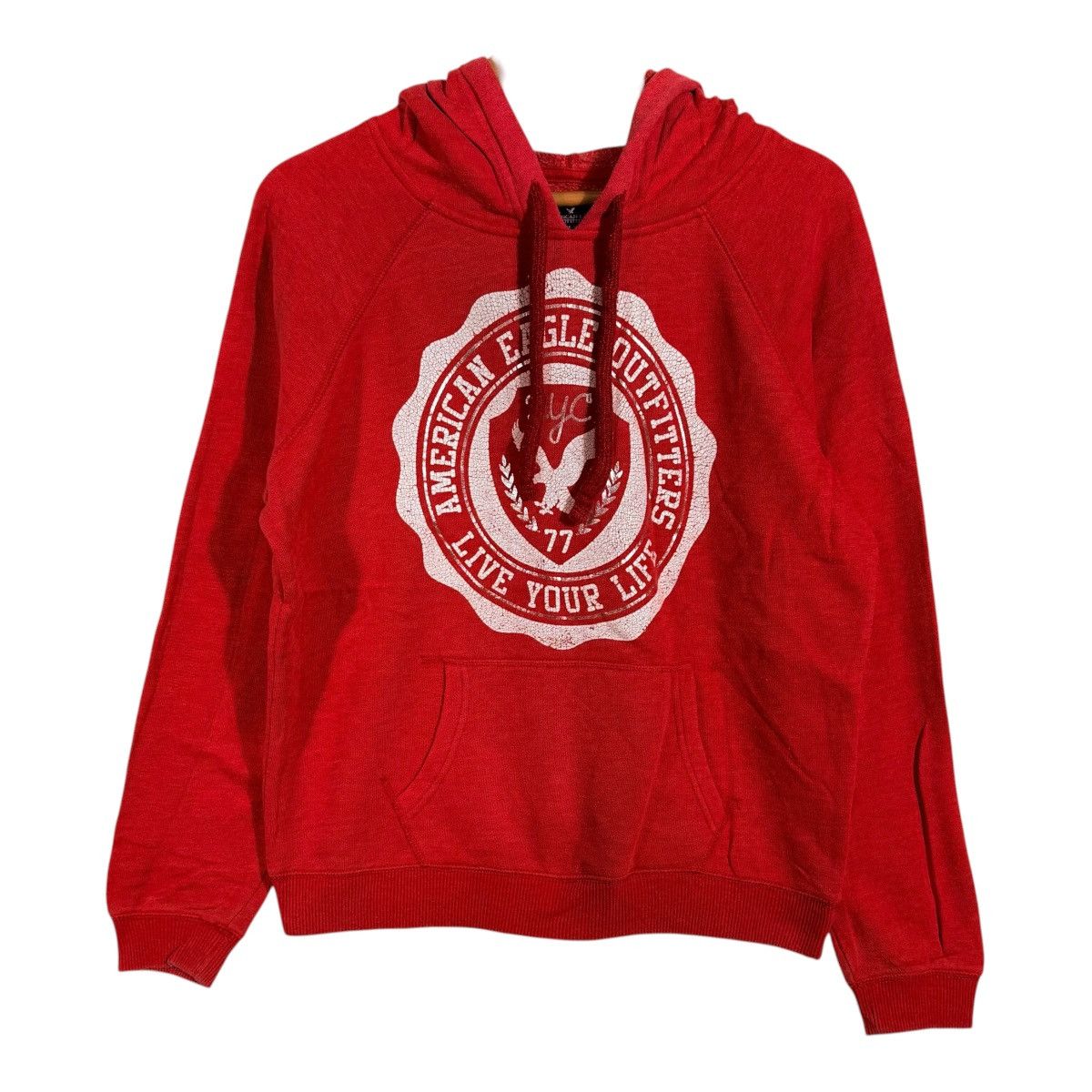 American Eagle Outfitters Hoodies american eagle big logo Size US M / EU 48-50 / 2 - 1 Thumbnail