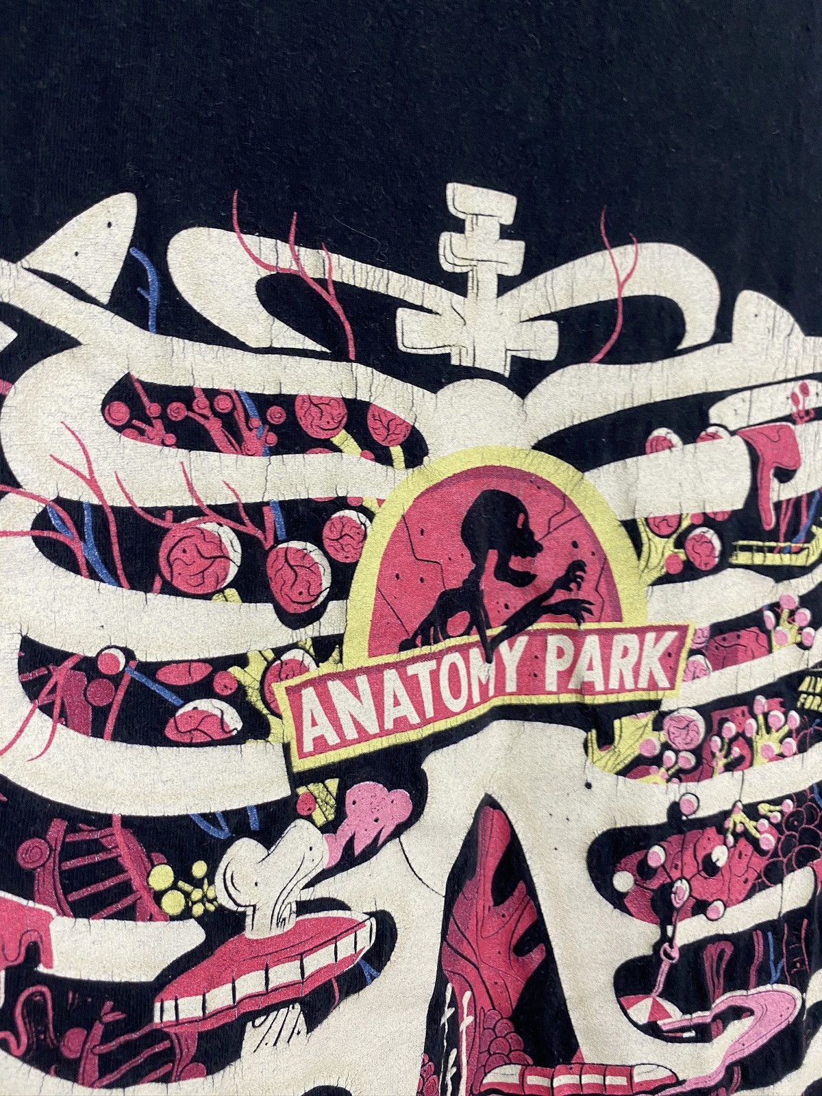 Vintage Men’s Anatomy Park T-Shirt Big Logo Size Large Size US L / EU 52-54 / 3 - 5 Thumbnail