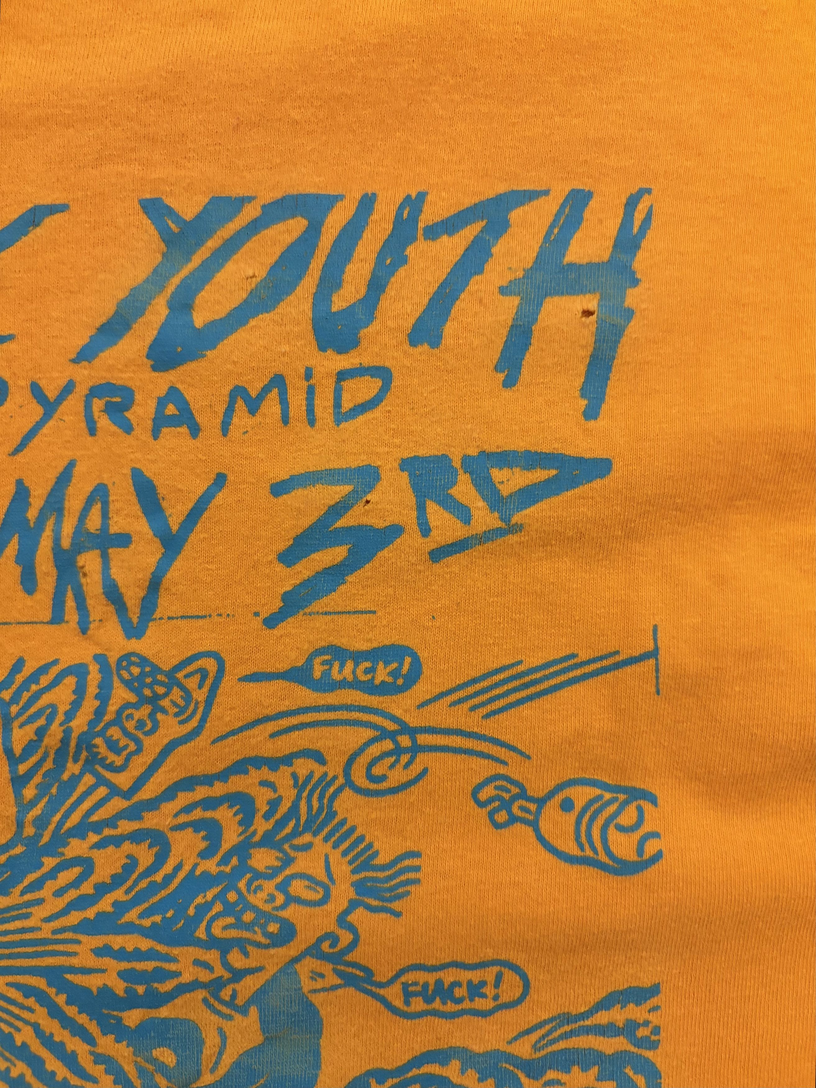 Band Tees Sonic Youth Vintage 00s “Live At The Pyramid” Anvil Tee Size US M / EU 48-50 / 2 - 6 Thumbnail