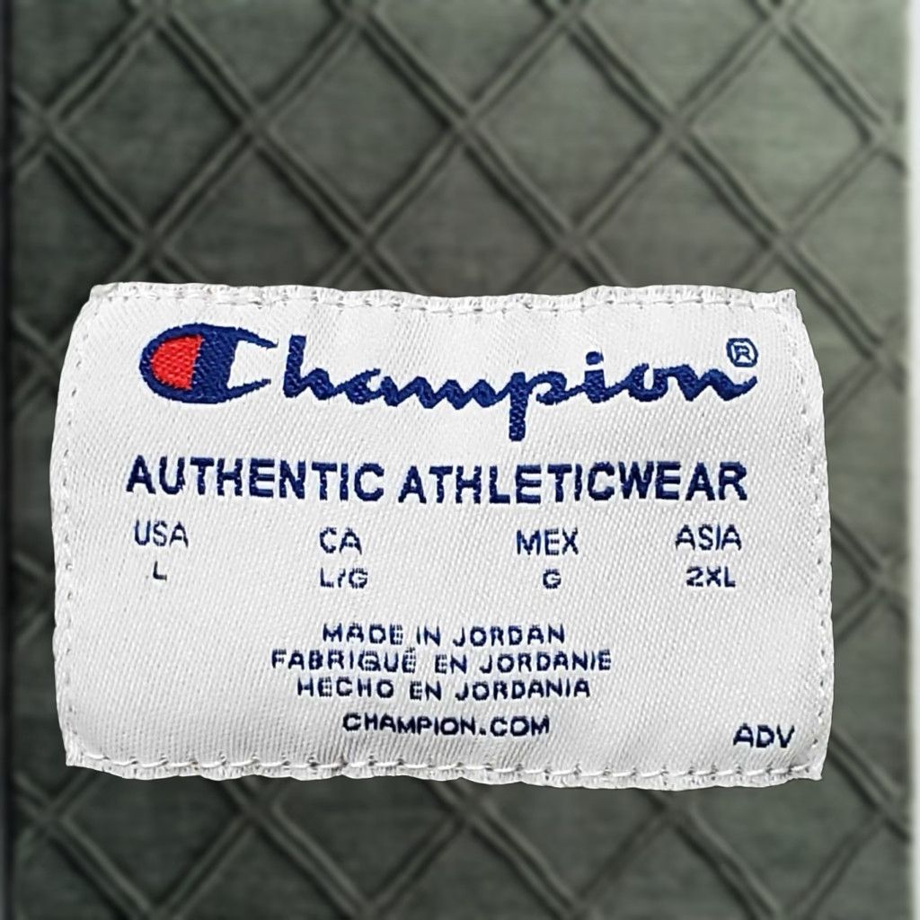 Champion VINTAGE? No, it's not vintage. Champion Sweater Mens Large Gray Pullover Heavy Cotton Long Sleeve L Size US L / EU 52-54 / 3 - 1 Thumbnail