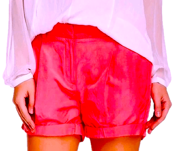 NEW Elizabeth and James Mitch Shorts