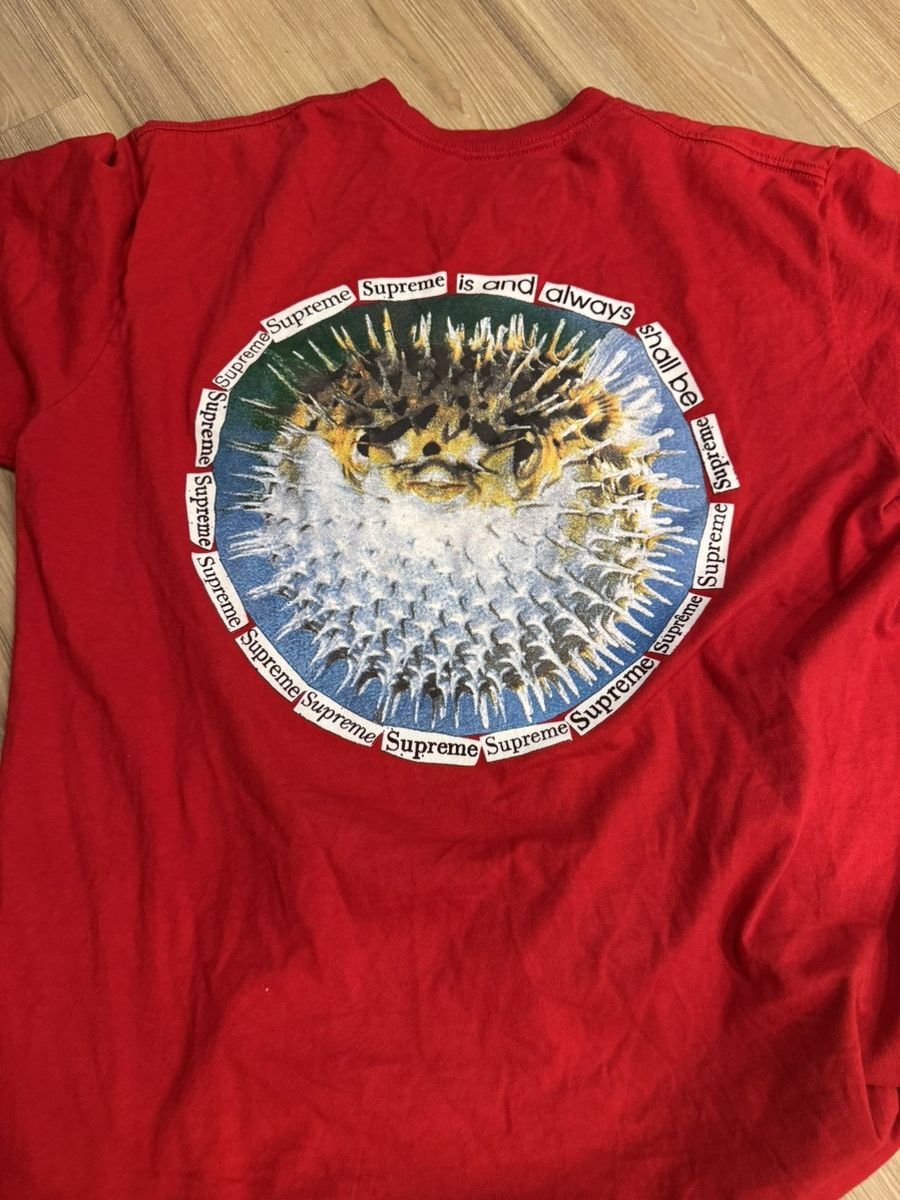 Supreme Supreme T-shirt Size US L / EU 52-54 / 3 - 5 Thumbnail
