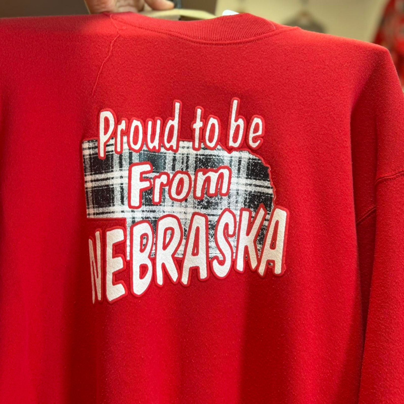 Vintage Vintage 90s Proud to be From Nebraska Crewneck Size US L / EU 52-54 / 3 - 4 Thumbnail