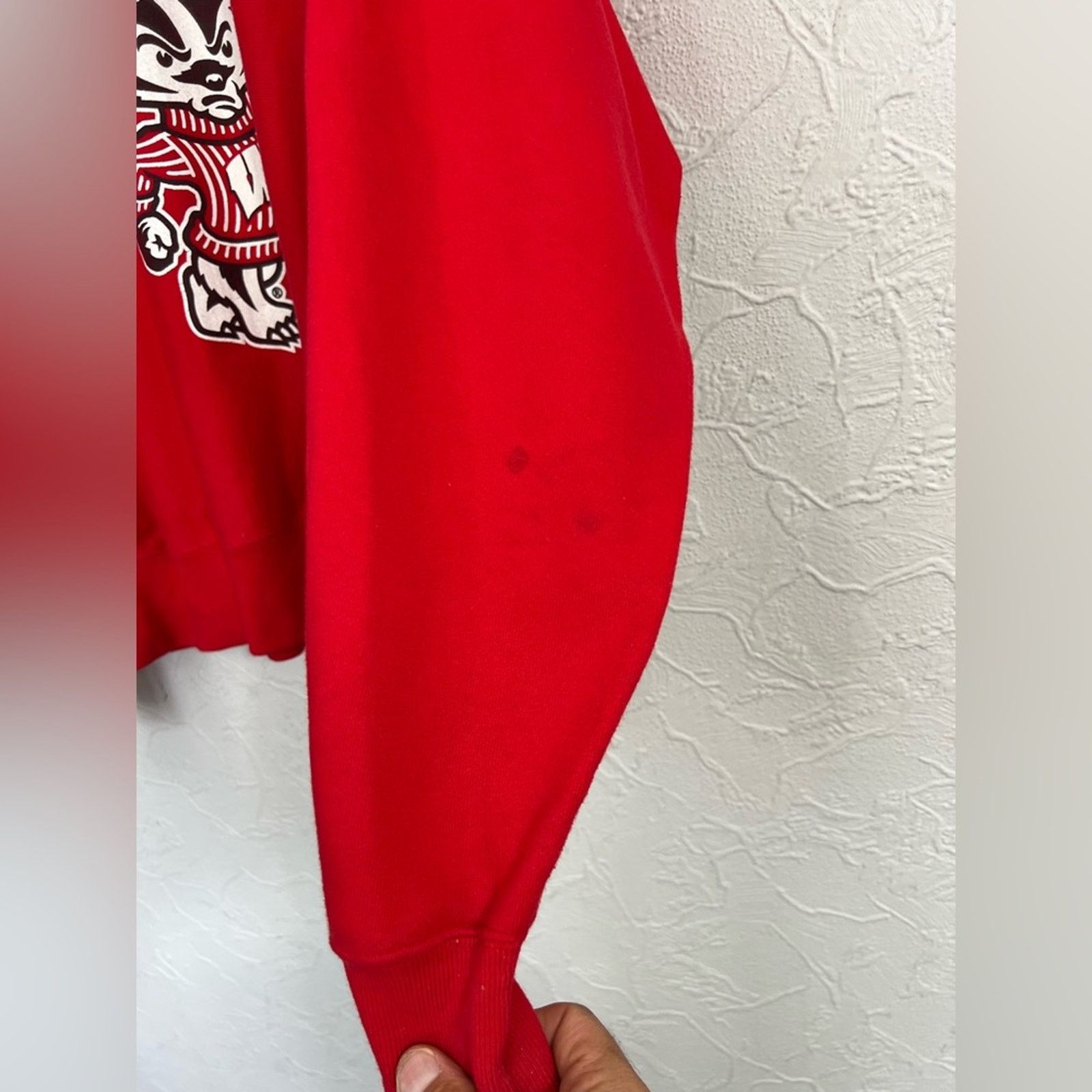 Champion VINTAGE Champion Reverse Weave Wisconsin Badgers Red Bucky Size US L / EU 52-54 / 3 - 5 Thumbnail
