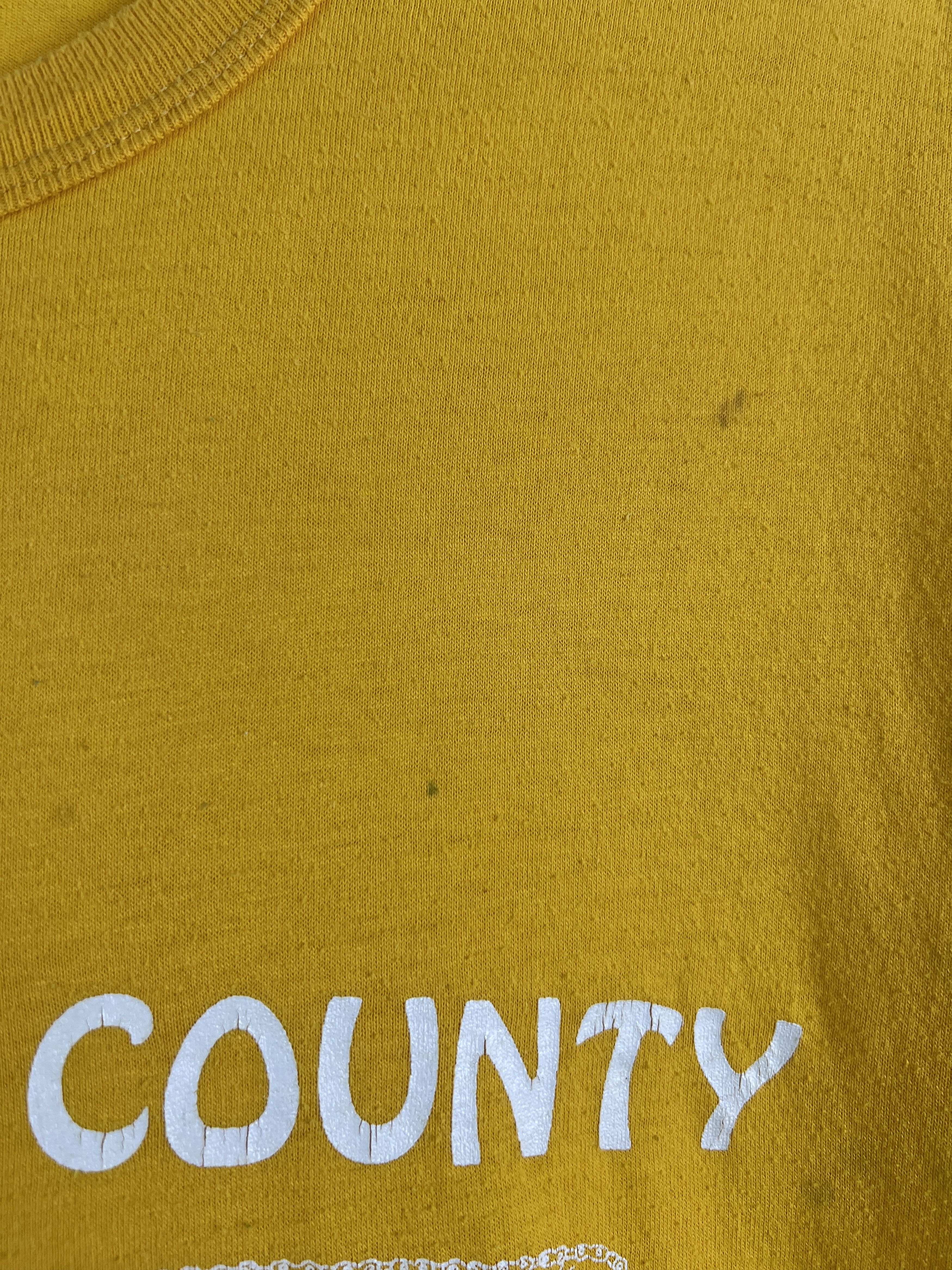 Russell Athletic × Vintage No.4831 Vintage 90s Russell Clinton County Graphic Tee (XL) Size US XL / EU 56 / 4 - 7 Thumbnail