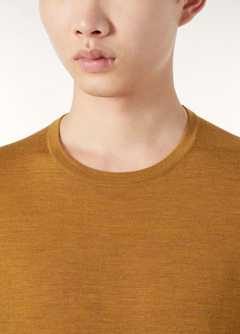 Loro Piana o1w1db10226 FAI1916 Crewneck T-Shirt in Brown Size US XL / EU 56 / 4 - 3 Thumbnail