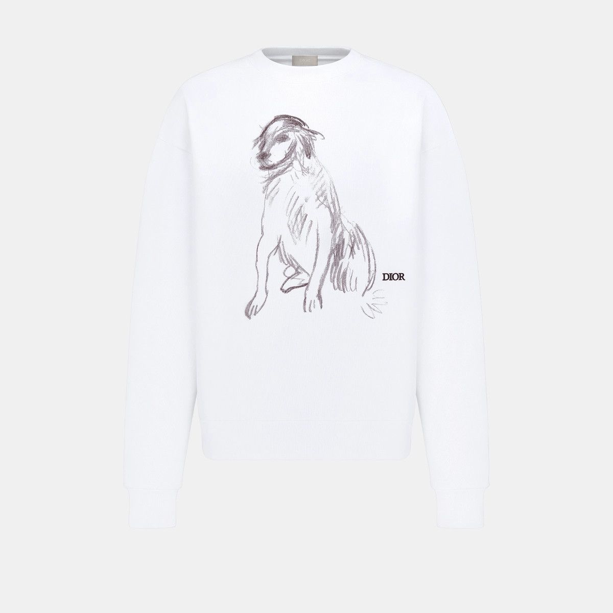 Dior o1bcso1str1224 CHARLESTON Oversized Sweatshirt in White Size US XS / EU 42 / 0 - 1 Thumbnail