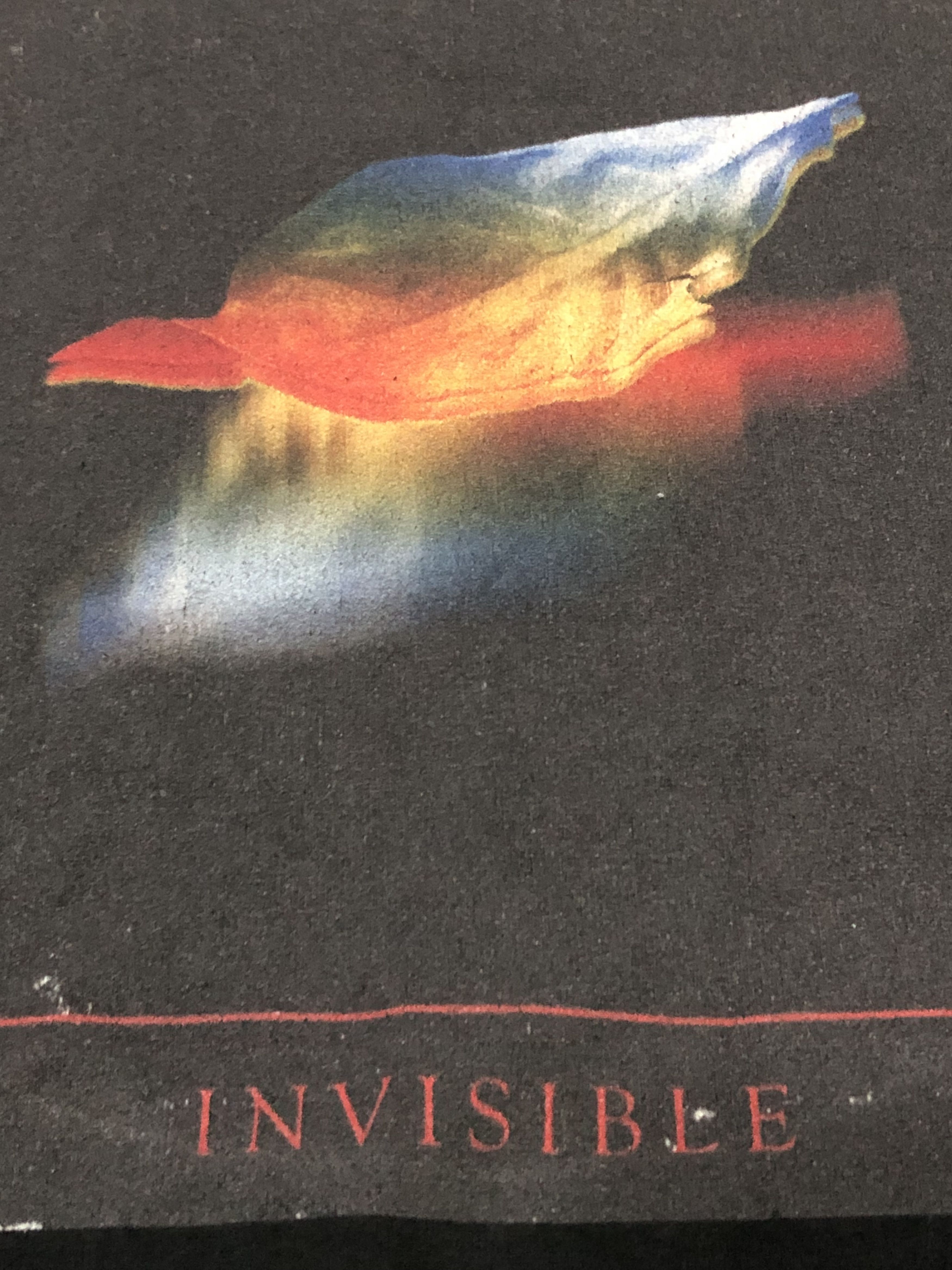 JOHN LAWRENCE SULLIVAN John Lawrence Sullivan "INVISIBLE" Graphic Tee - Size M Size US M / EU 48-50 / 2 - 4 Thumbnail