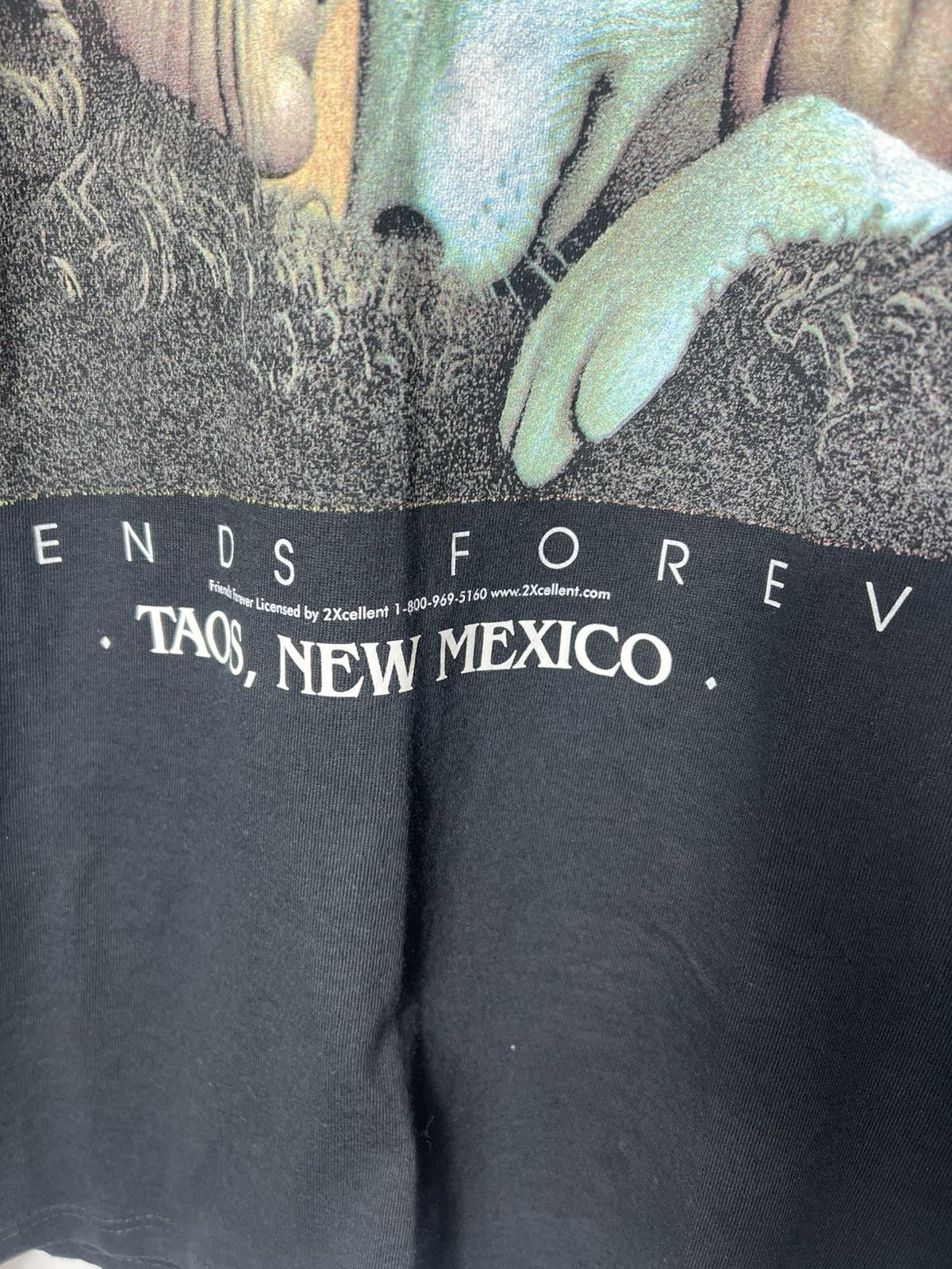 Vintage Vintage 90s Friends Forever Taos Indian Wolf Rare T-shirt Size US M / EU 48-50 / 2 - 5 Thumbnail