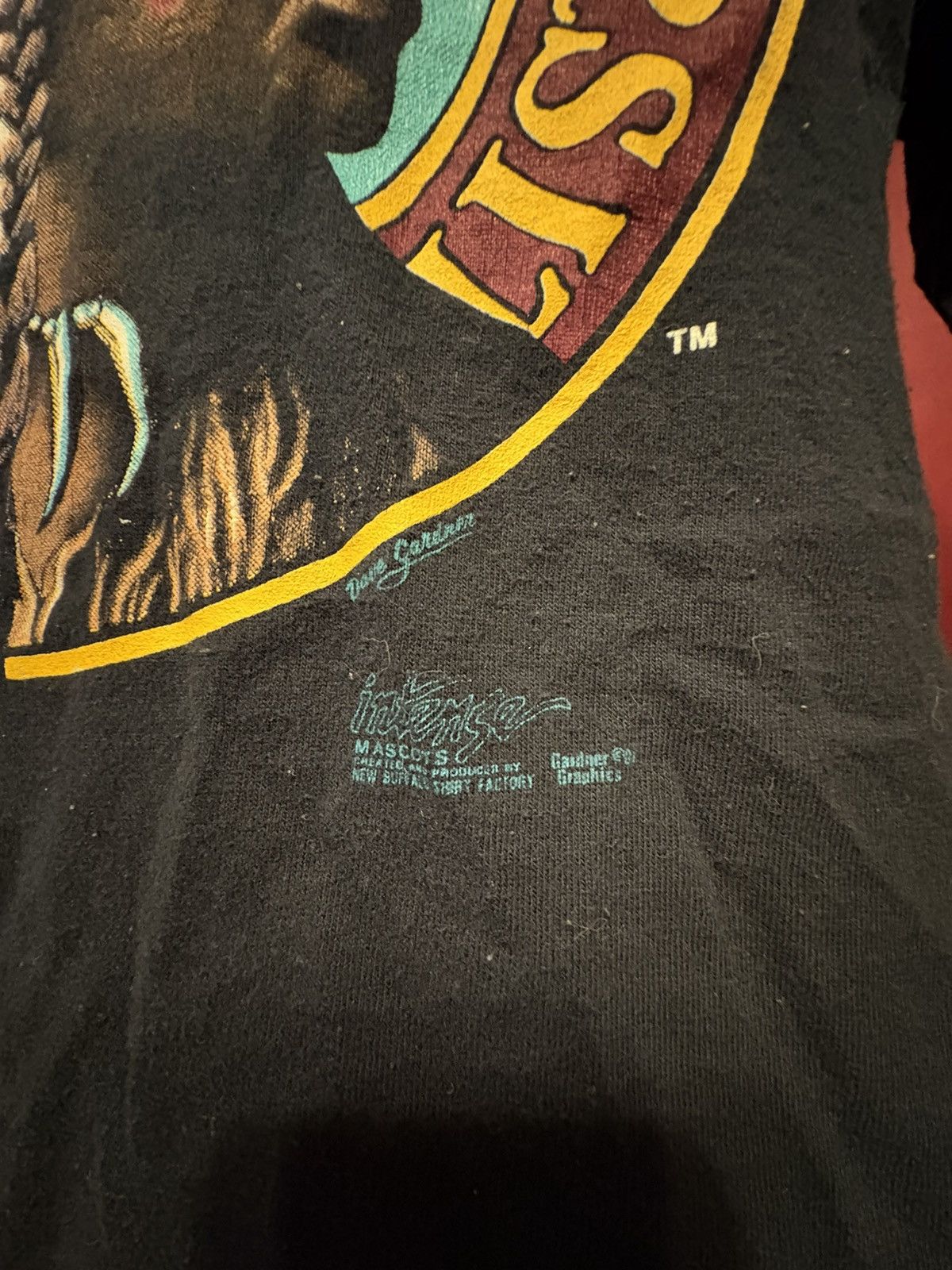 Salem Sportswear Vintage Florida State Seminoles Tshirt 90’s Salem NCAA Grail Size US L / EU 52-54 / 3 - 4 Thumbnail