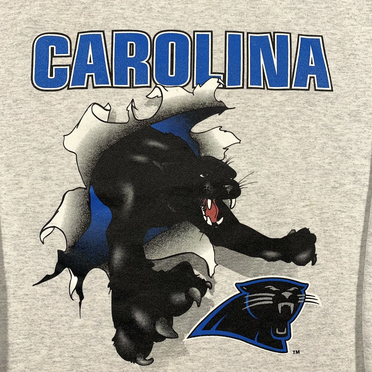 Nutmeg Vintage 1993 Nutmeg Carolina Panthers Crewneck Sweatshirt Size US XL / EU 56 / 4 - 7 Thumbnail