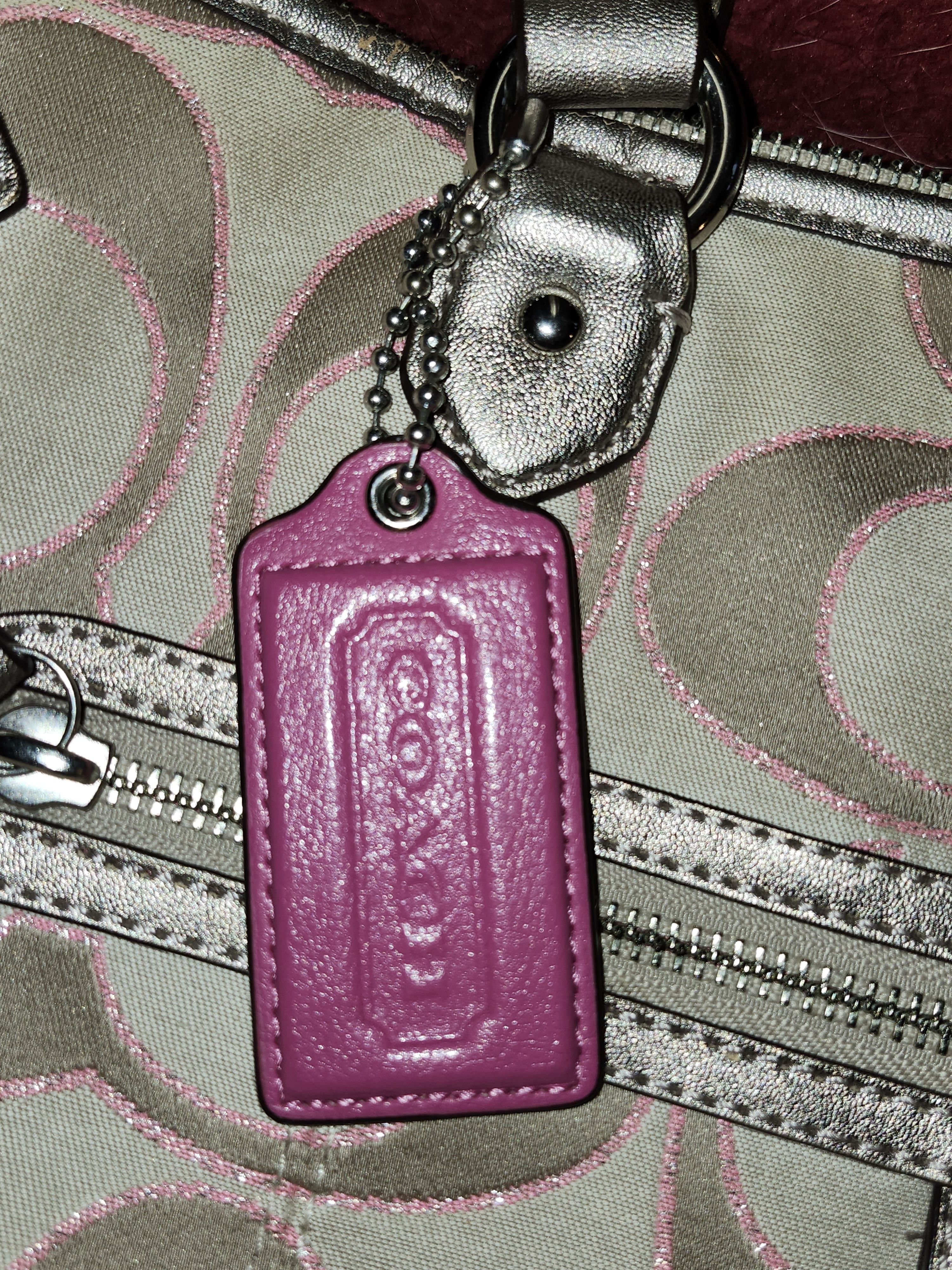 Coach Coach Daisy Outline Signature Metallic EMMA Tote Size ONE SIZE - 6 Thumbnail
