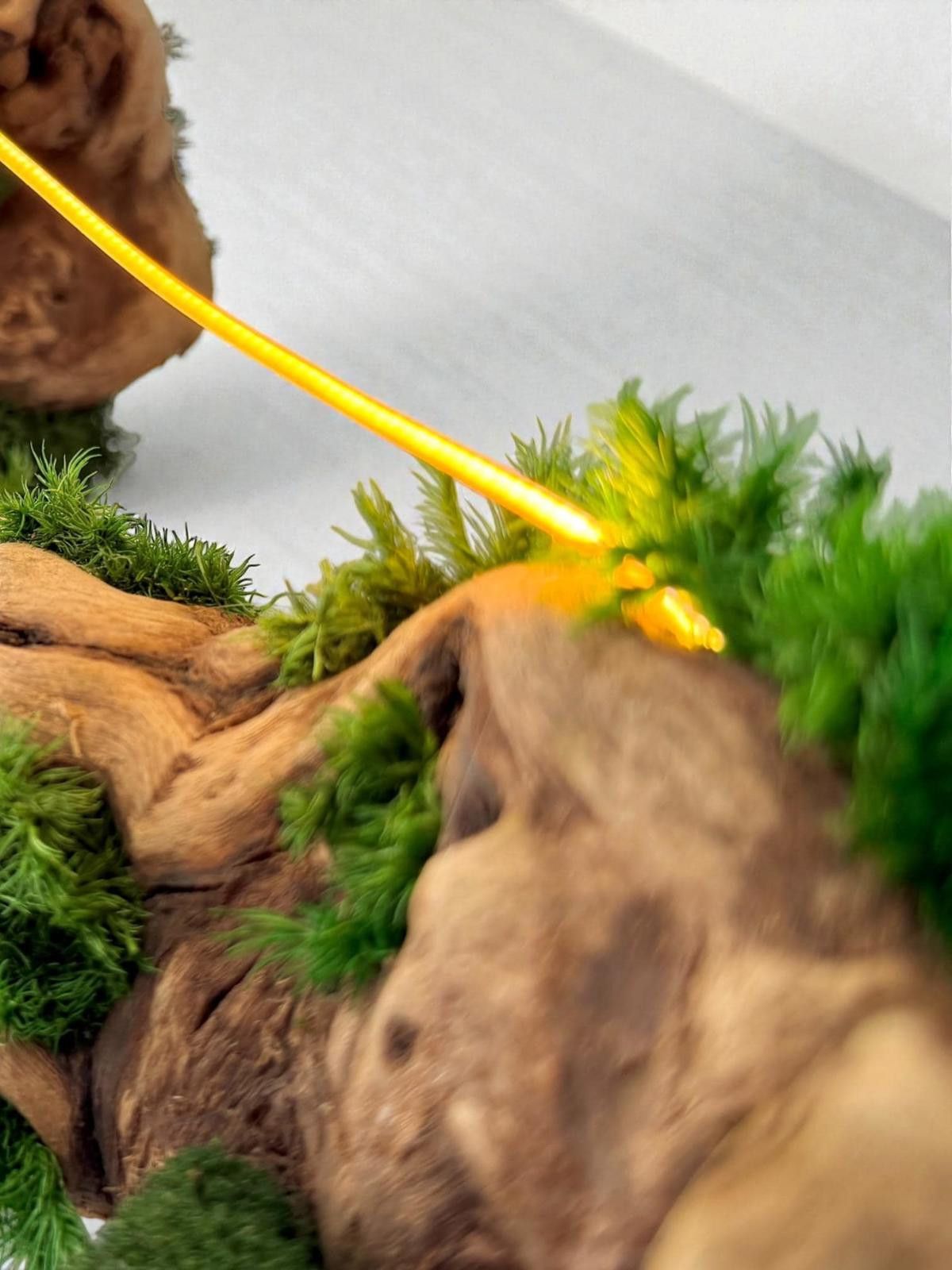 Other Driftwood, Original Grapevine Sculpture Lamp Preserved Moss Size ONE SIZE - 5 Thumbnail