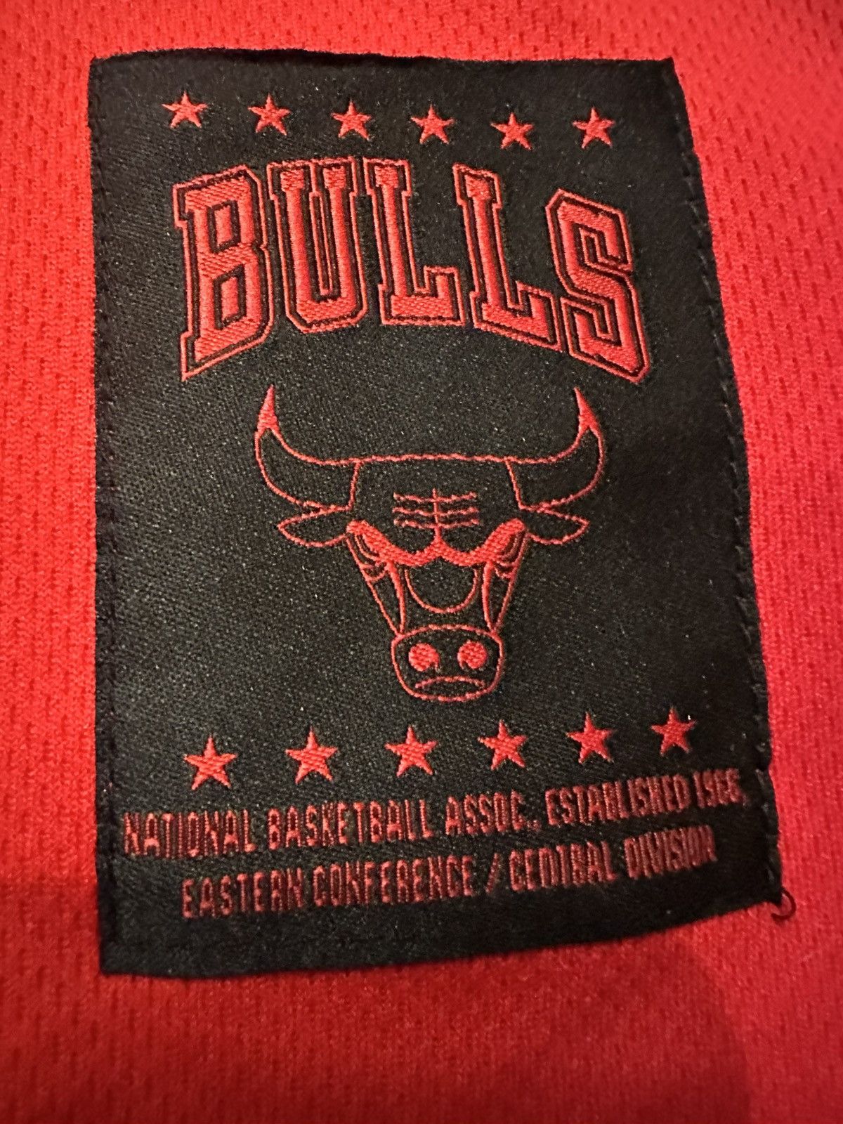 NBA Vintage Y2K NBA Chicago Bulls Basketball Jersey Size L Size US L / EU 52-54 / 3 - 3 Thumbnail