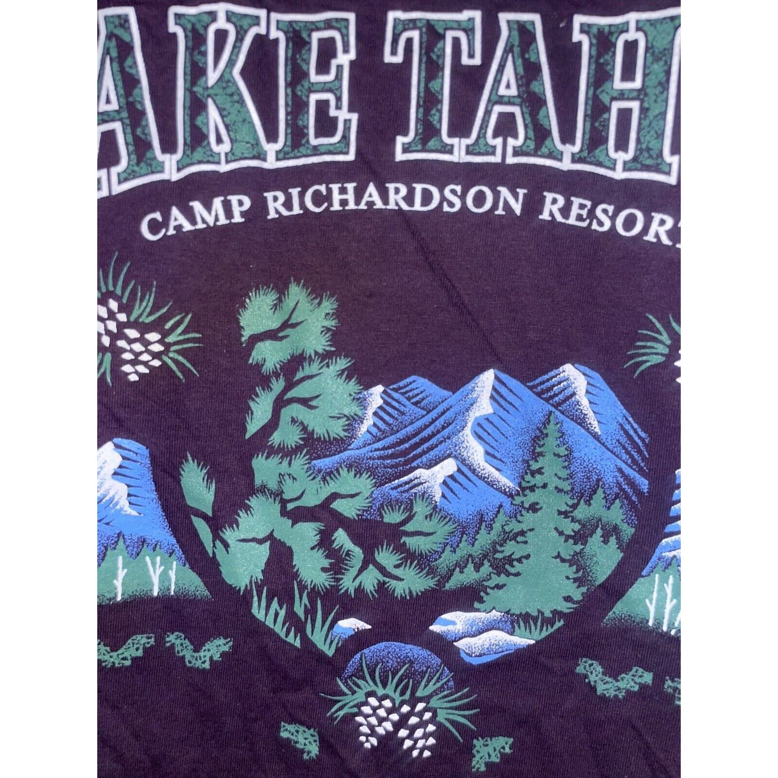 Jerzees Vintage Test Print Shirt Lake tahoe Camp Richardson Tee 90s Size US M / EU 48-50 / 2 - 4 Thumbnail