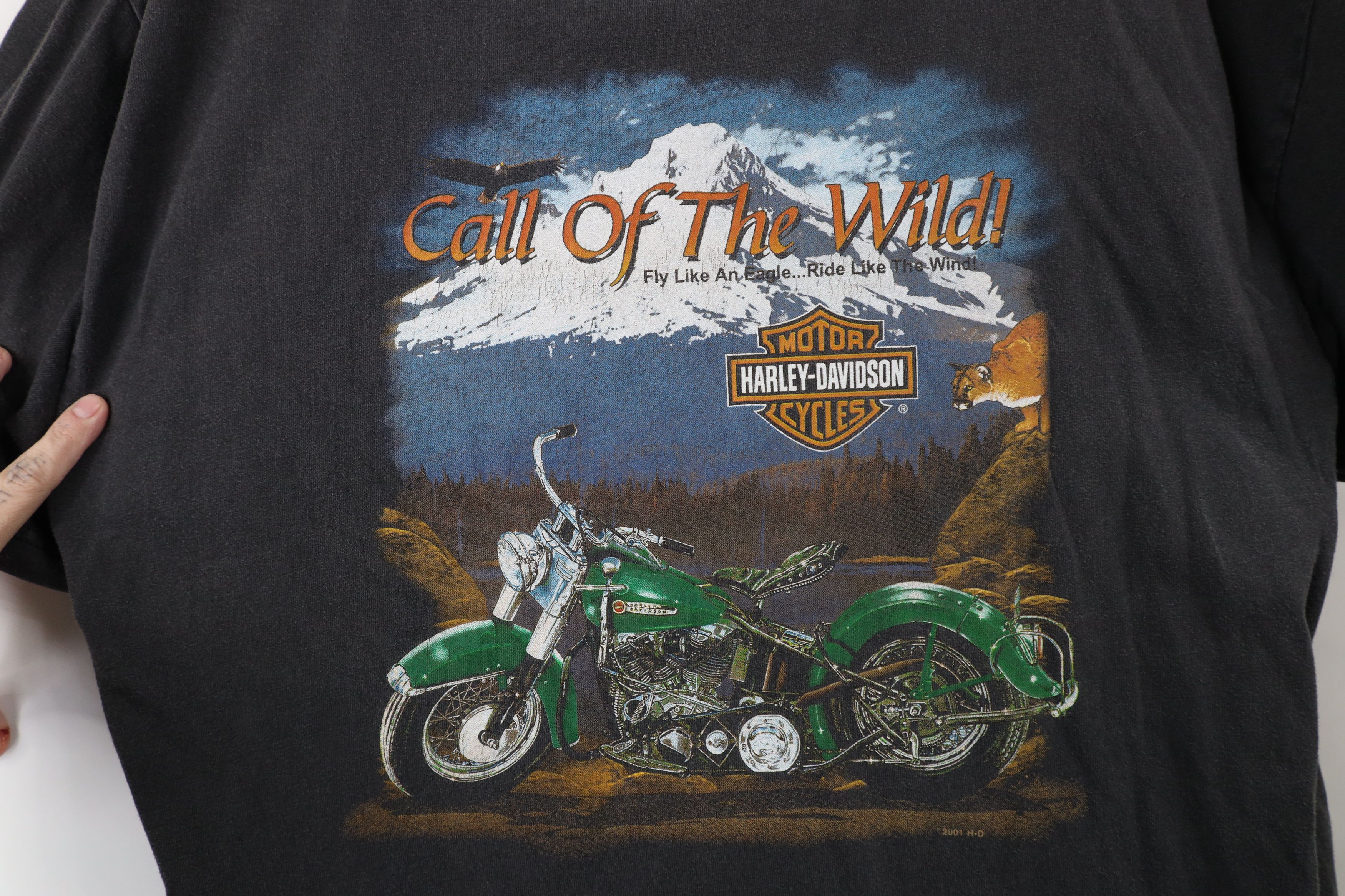 Harley Davidson × Vintage Vintage Y2K 2001 Harley Davidson the Wild T-Shirt Black USA Size US XL / EU 56 / 4 - 4 Thumbnail