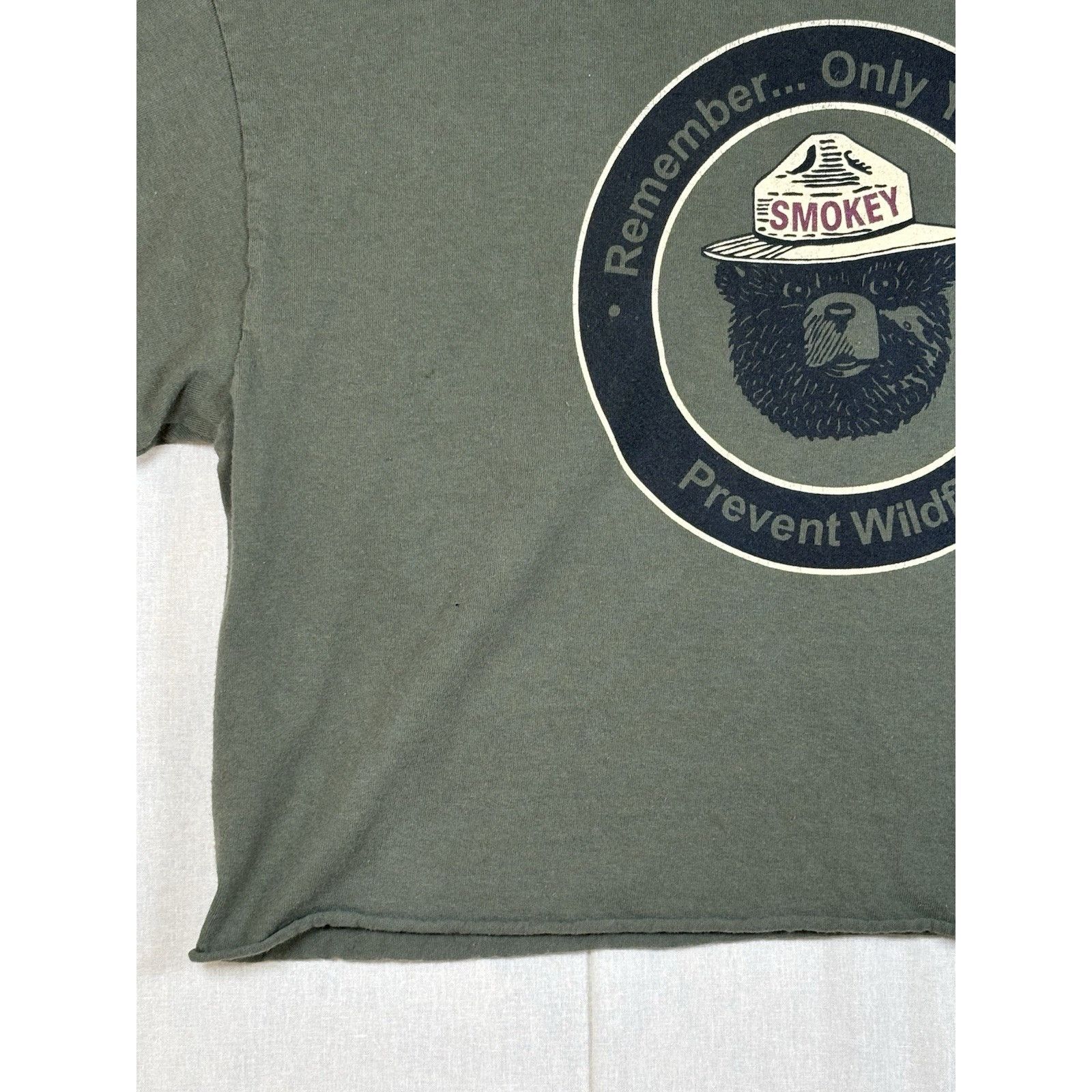 The Unbranded Brand Smokey The Bear Prevent Forest Wildfire Cropped T-Shirt LG Size US L / EU 52-54 / 3 - 9 Thumbnail