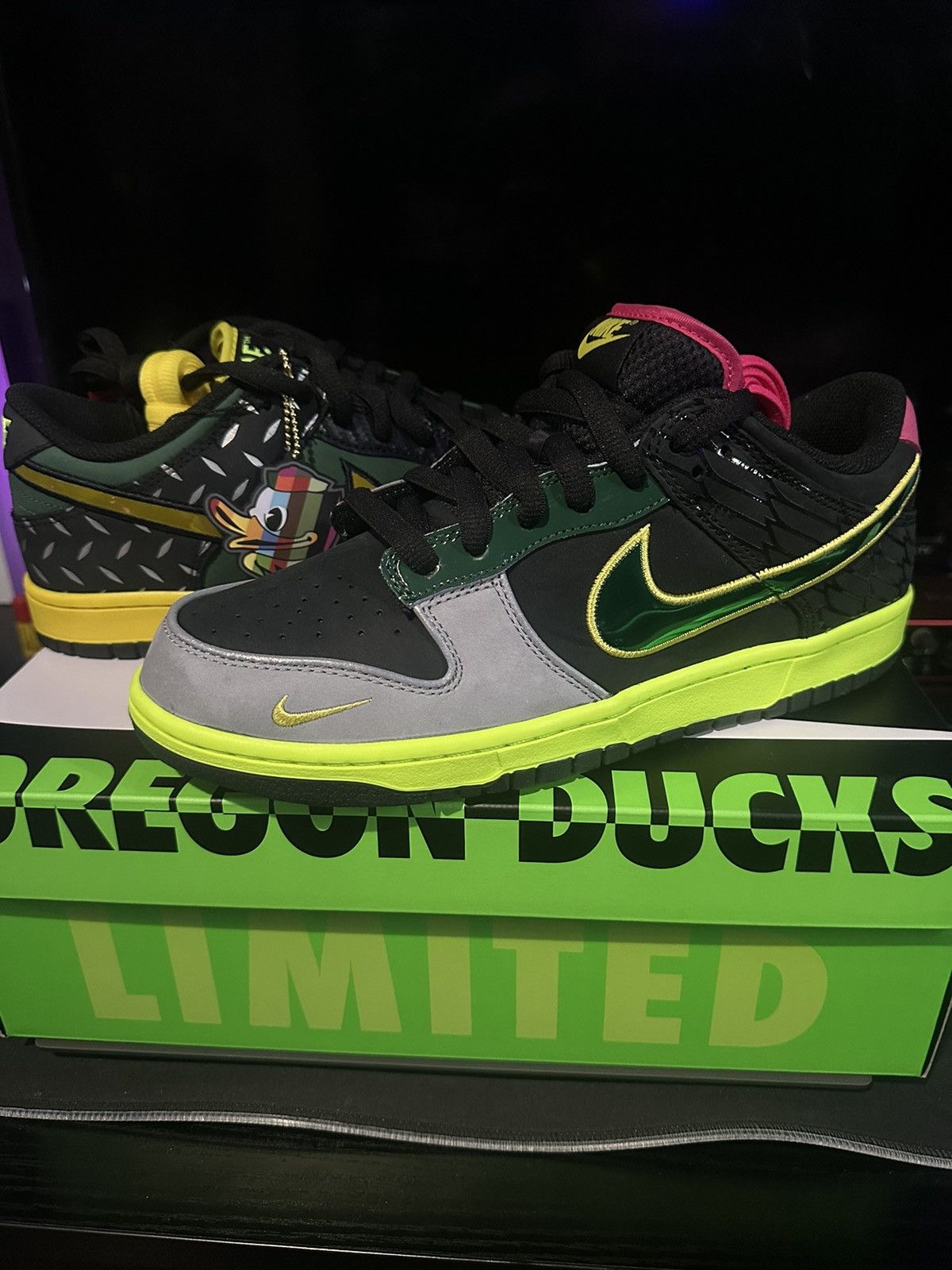 Nike Dunk PE Low What the...Duck - University of Oregon Home
