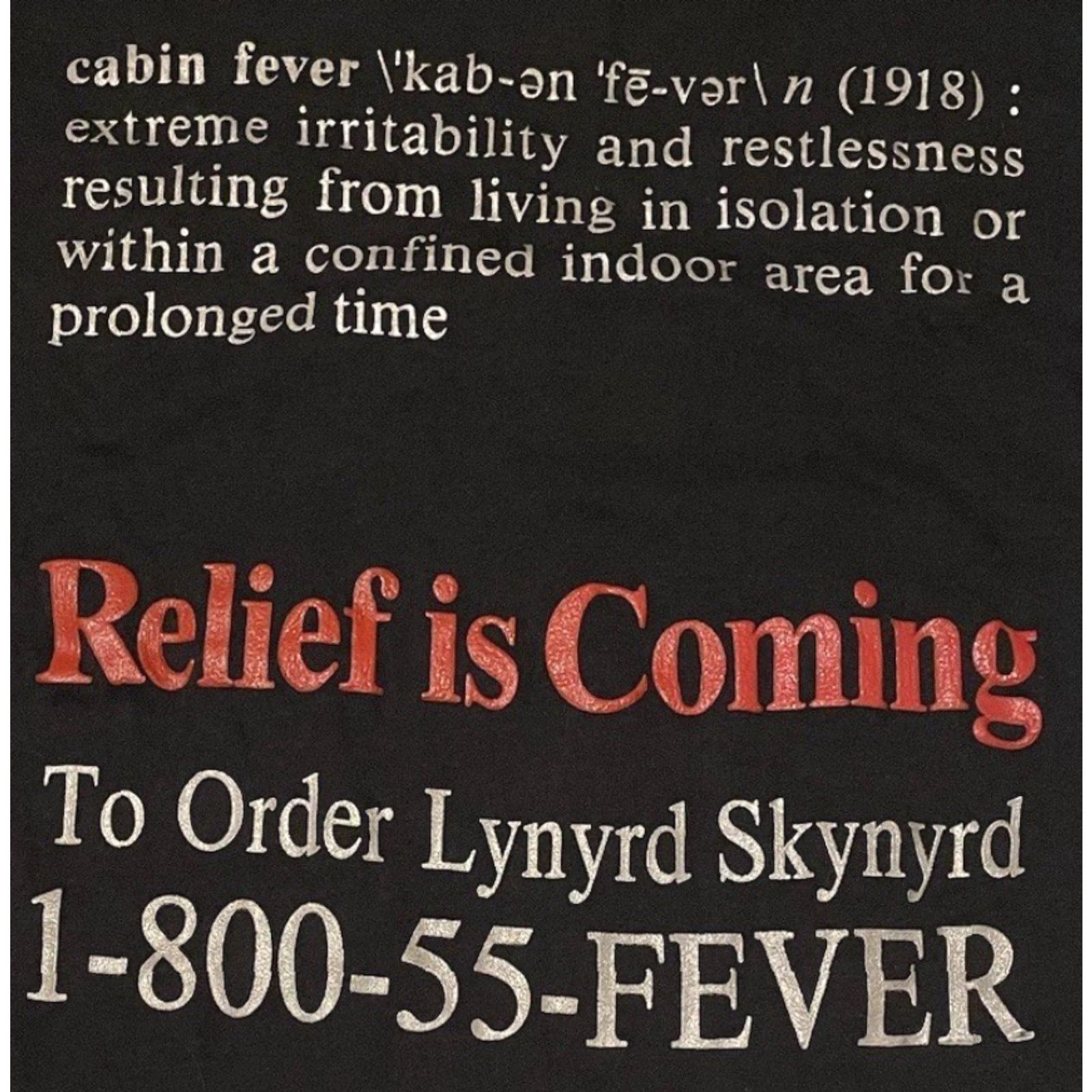Vintage VINTAGE Lynyrd Skynyrd Cabin Fever Shirt S Concert Tour Rock Band ZZ Top Outlaws Shirt Size US S / EU 44-46 / 1 - 4 Thumbnail