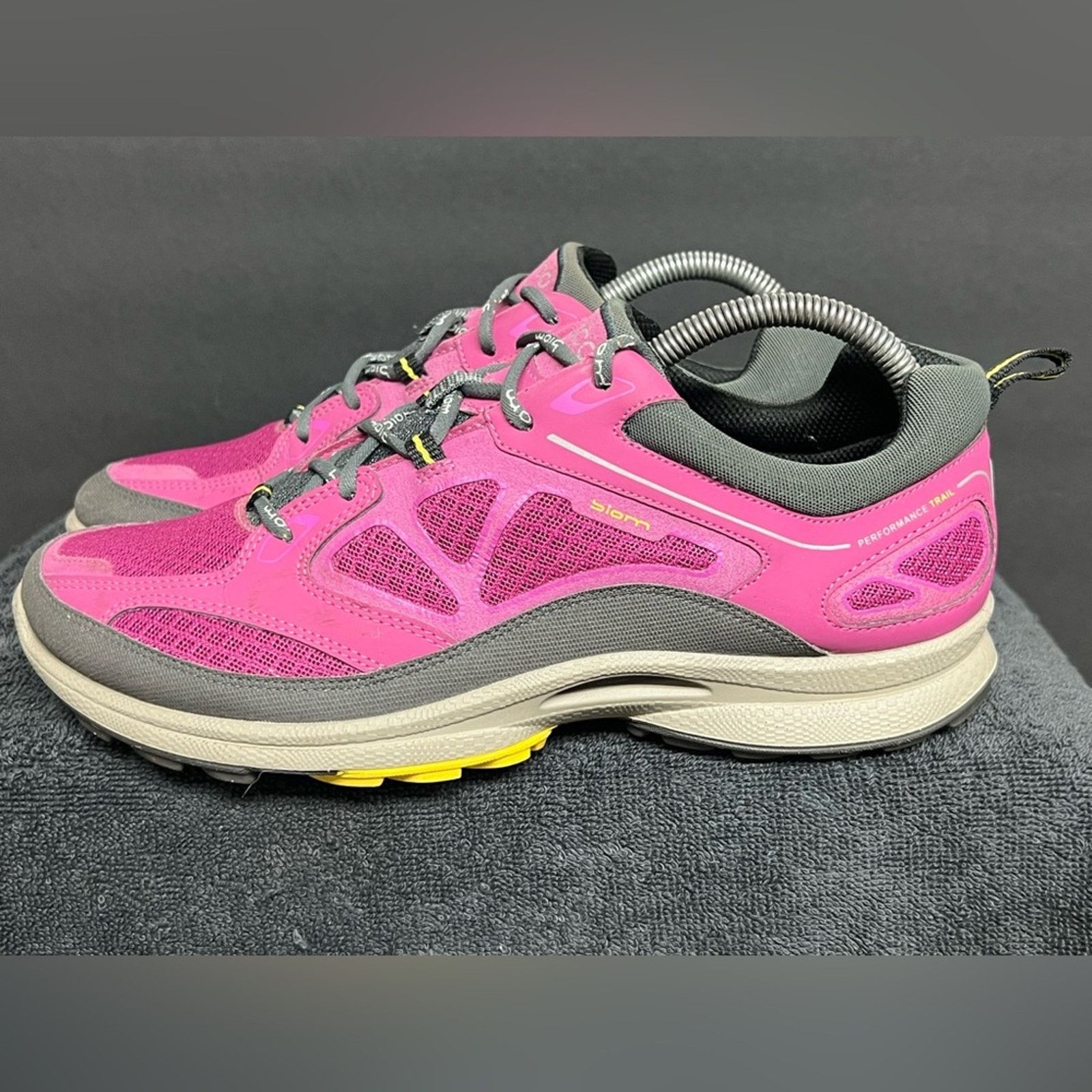 Ecco Ecco Biom Ultra Quest GTX Women’s Trail Shoes SZ 40 US 9/9.5 Size US 9.5 / IT 39.5 - 1 Thumbnail