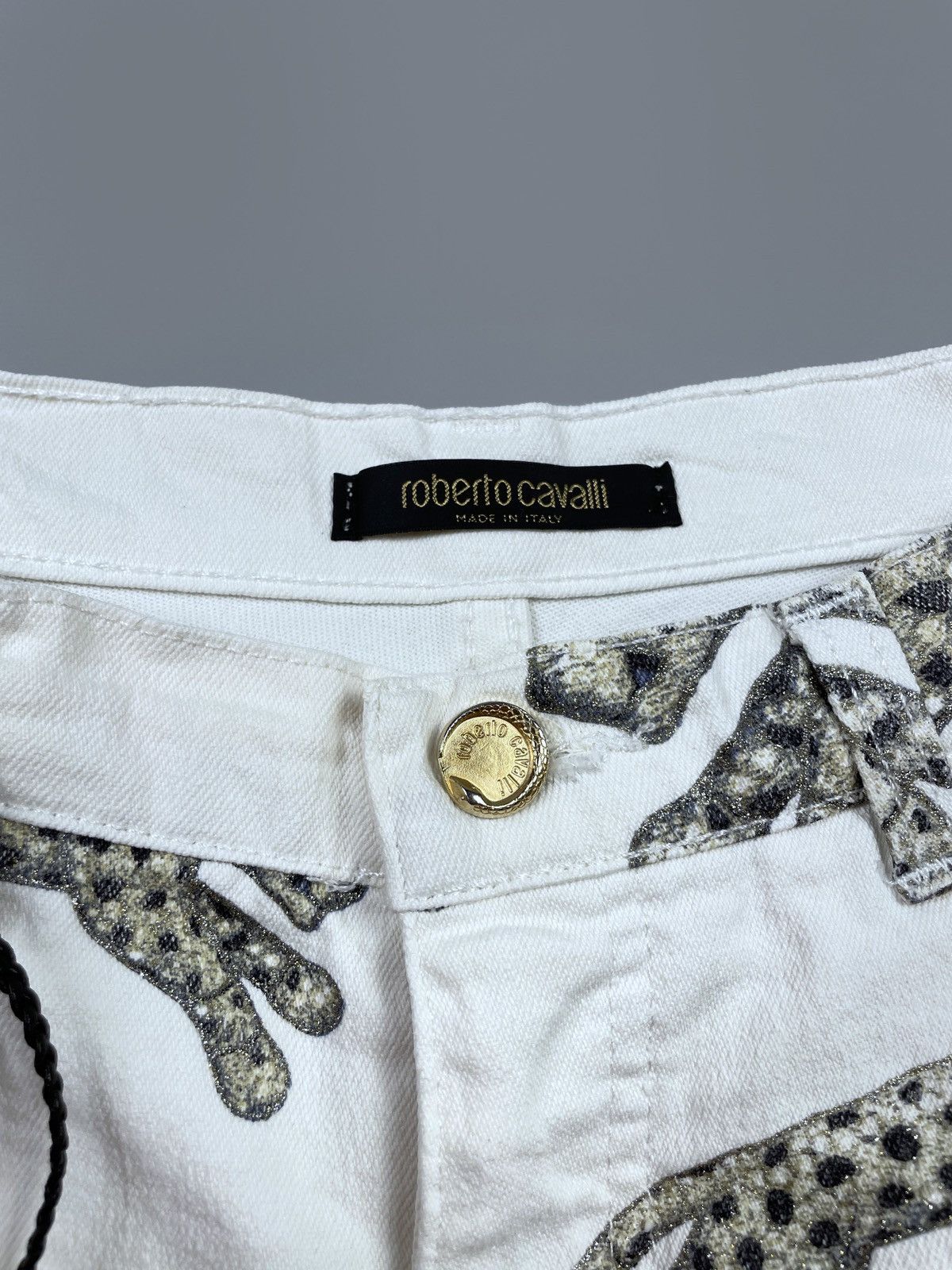 Roberto Cavalli Vintage Roberto Cavalli Leopard & Tiger Animal Print Pants M Size 28" / US 6 / IT 42 - 15 Thumbnail