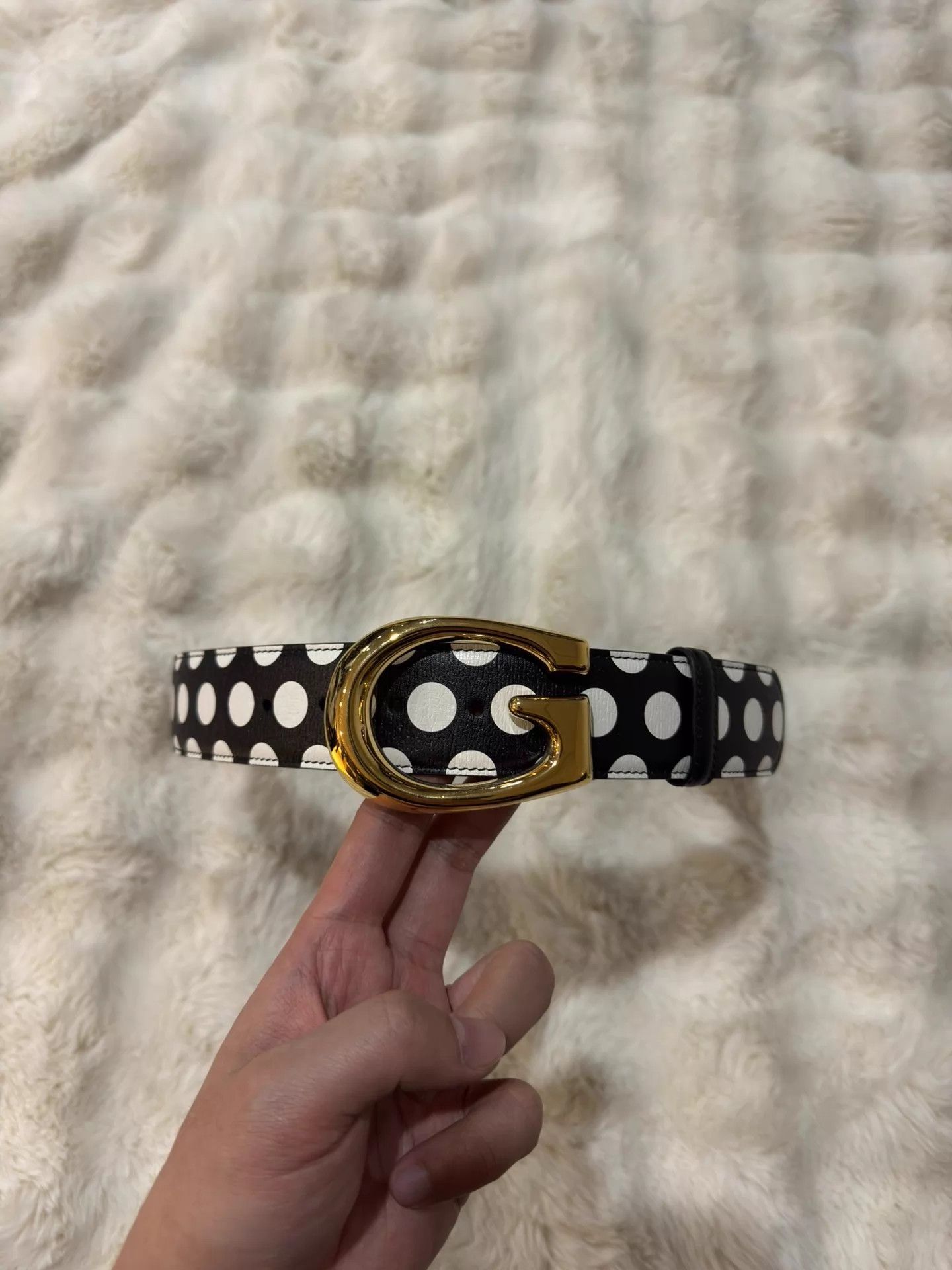Gucci Gucci Black & White Polka Dot Gold Buckle Belt Size 85 Size ONE SIZE - 1 Thumbnail