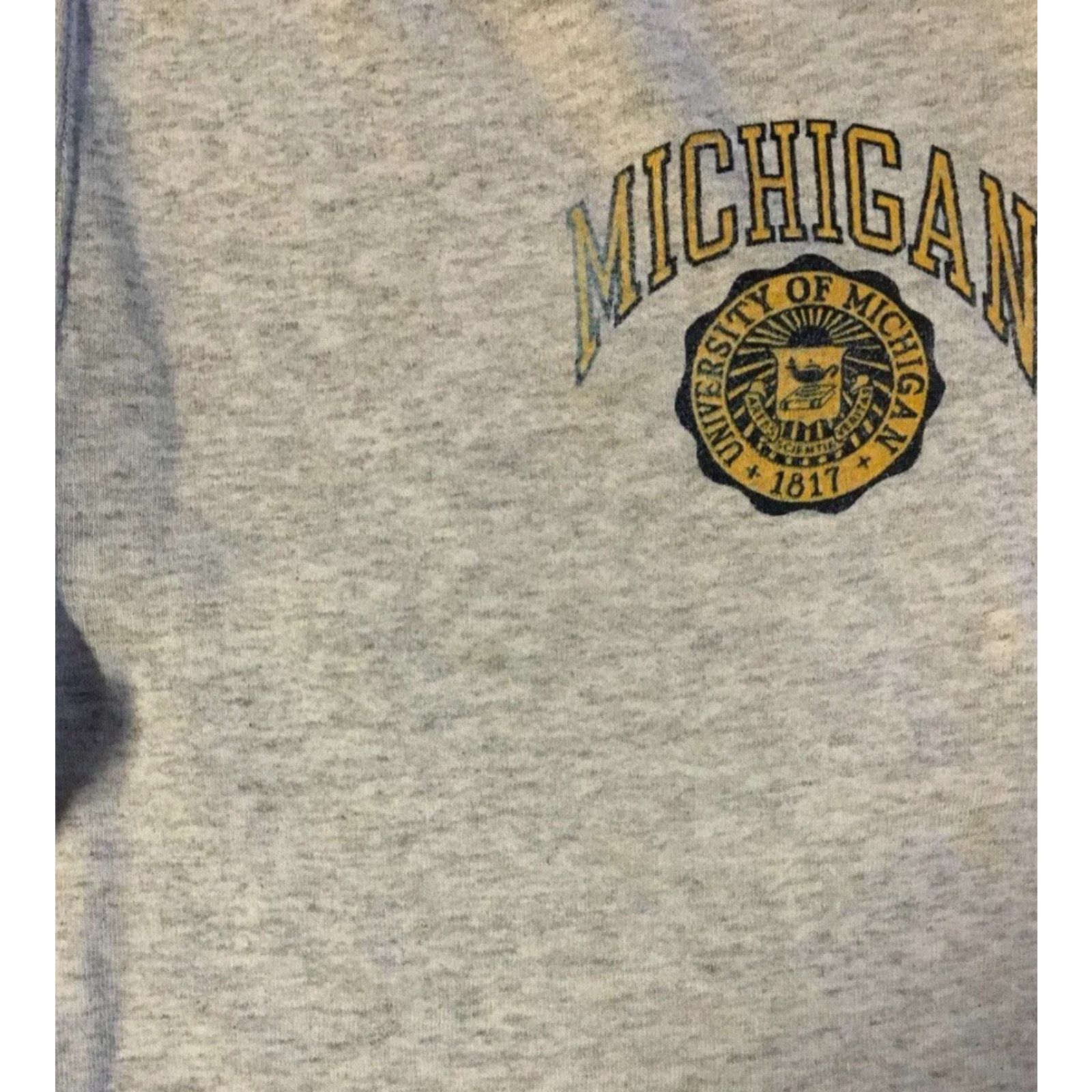 Vintage VINTAGE University Michigan Sweatpants L Gray Activewear Pants Men 80s 90s Grunge College Track & Field USA Wolverines Drawstring Size US 33 - 7 Thumbnail