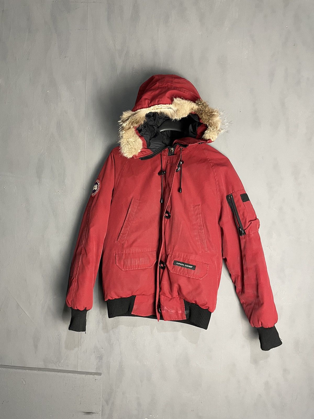 Canada Goose Canada Goose Chilliwack Bomber Fur Jacket Size US S / EU 44-46 / 1 - 1 Thumbnail