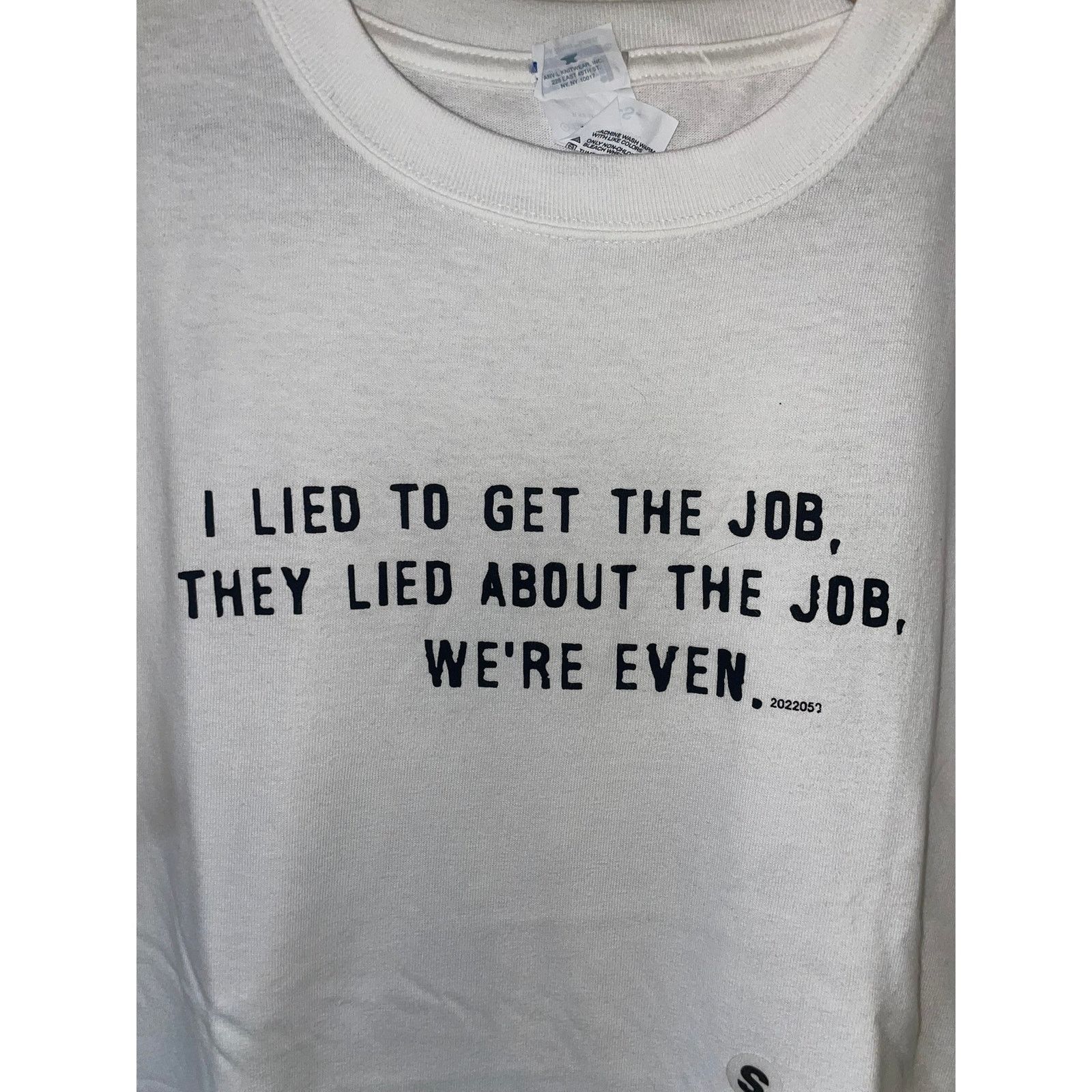 Gildan Y2K I Lied To Get The Job White Joke Humor Shirt Tee 2000s S Size US S / EU 44-46 / 1 - 2 Thumbnail