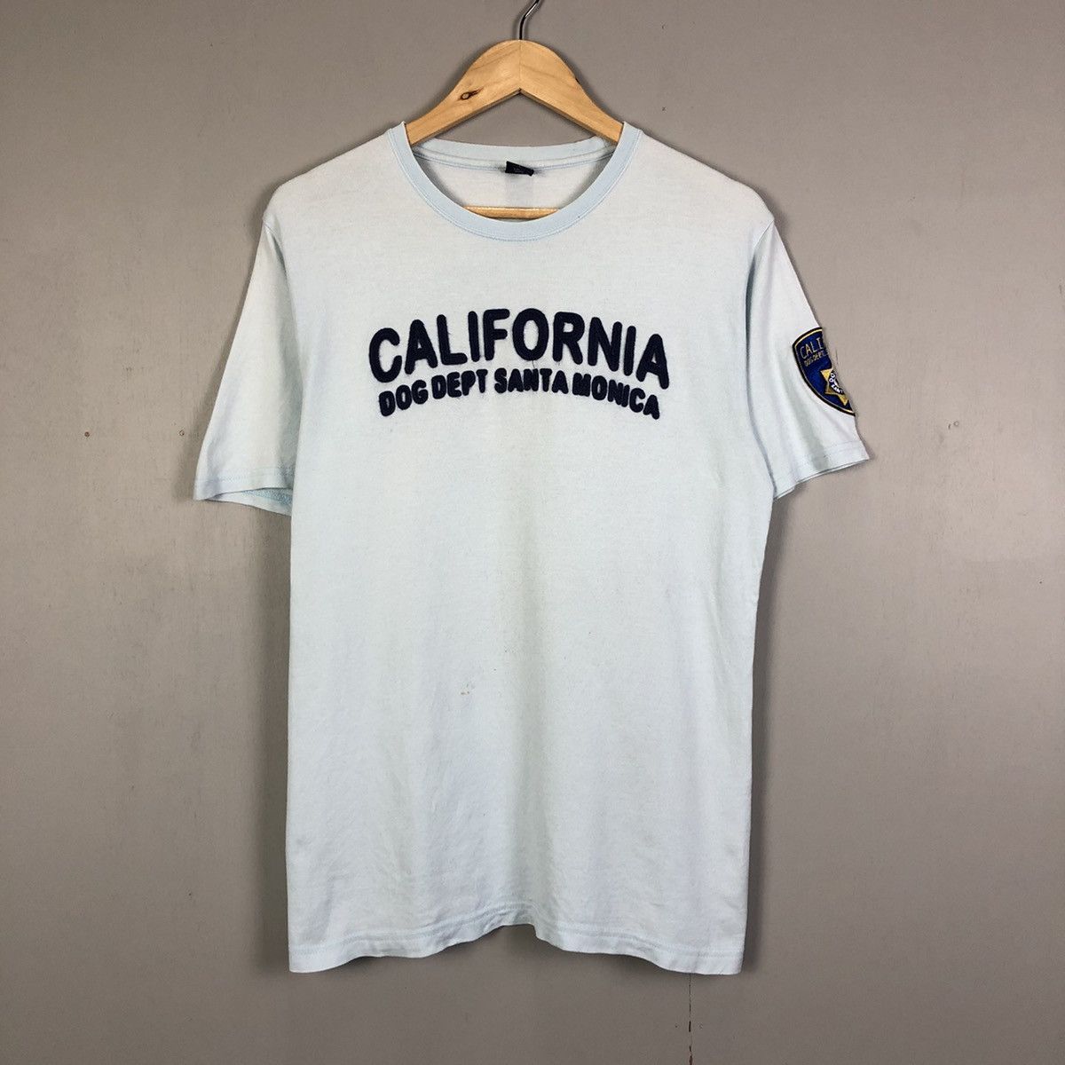 image of Surf Style x Vintage Faded Dog Dept Santa Monica Tshirt in Light Blue (Size Large)