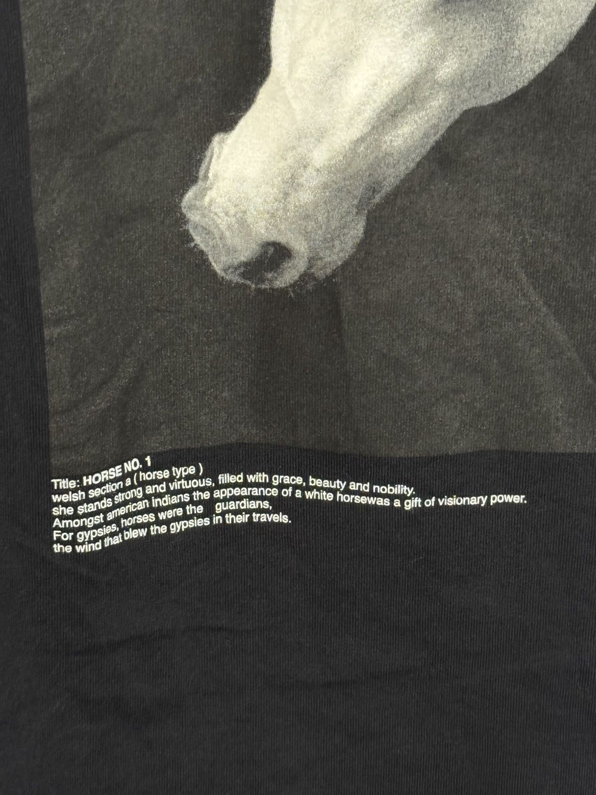 Japanese Brand John Mason Smith × Sheila Rock Horse No.1 Long Sleeve. Size US M / EU 48-50 / 2 - 3 Thumbnail